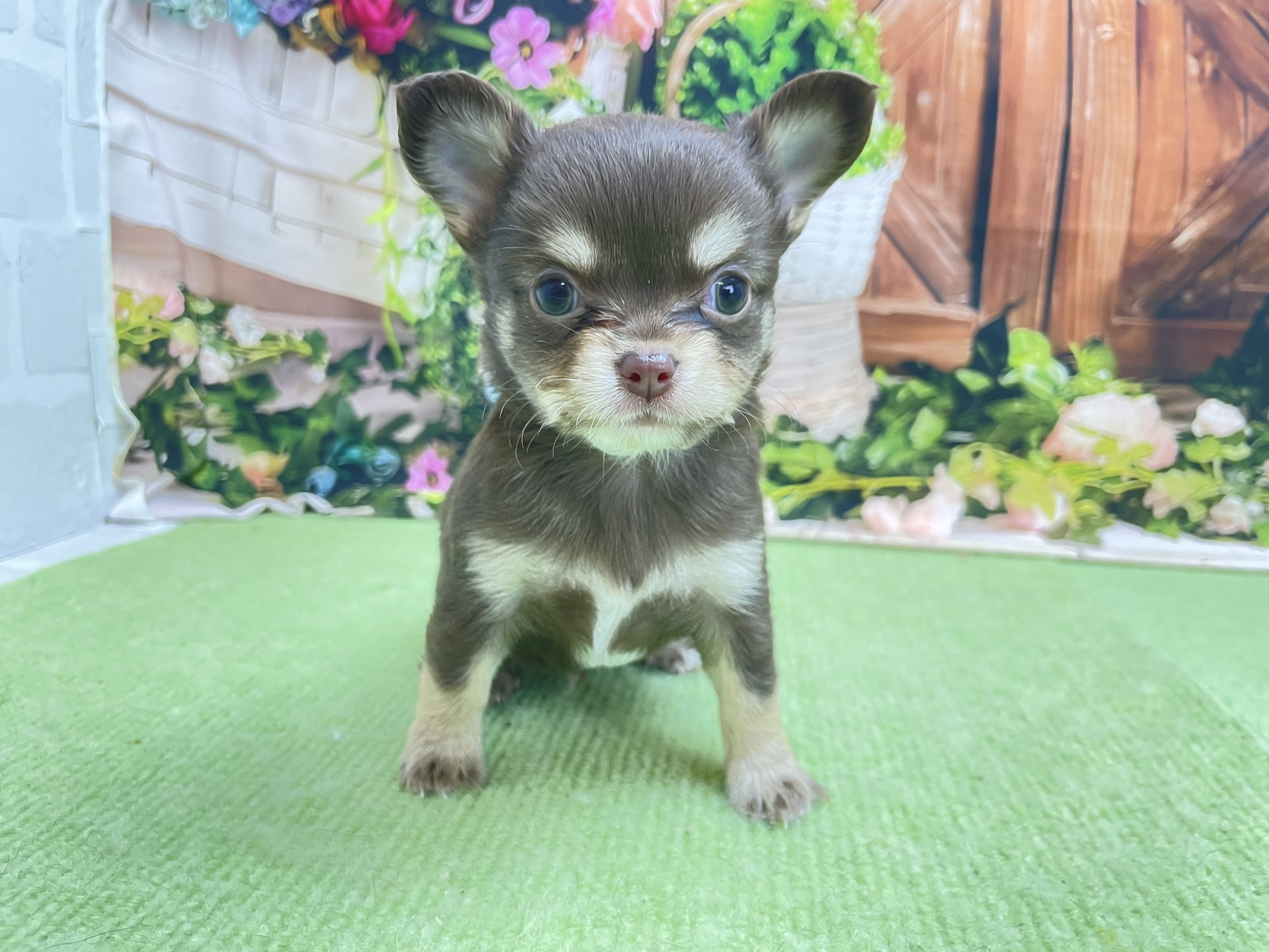 赤ちゃん写真2-1