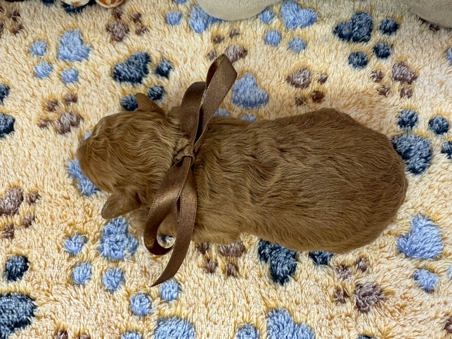 赤ちゃん写真1-3