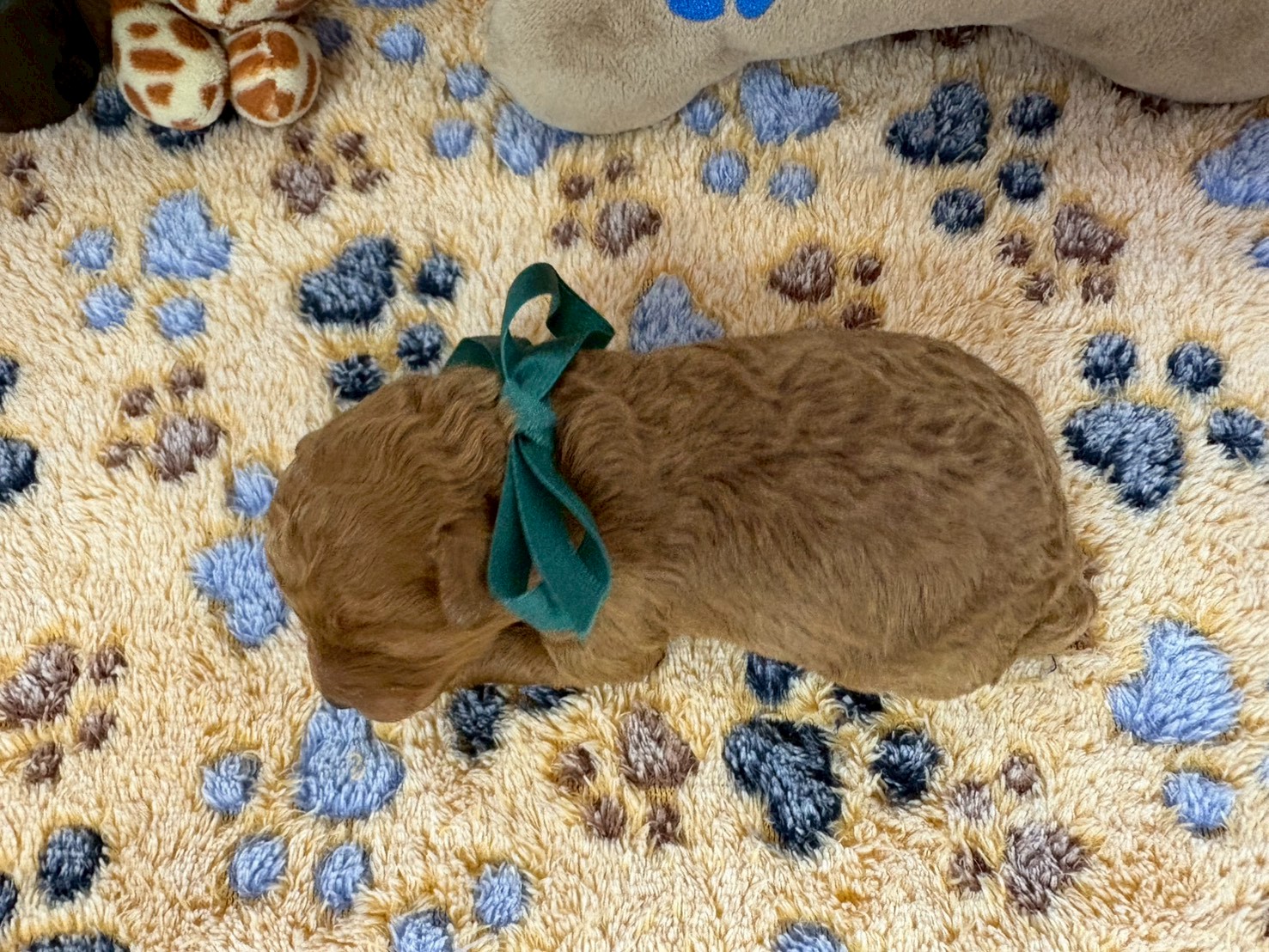 赤ちゃん写真1-3