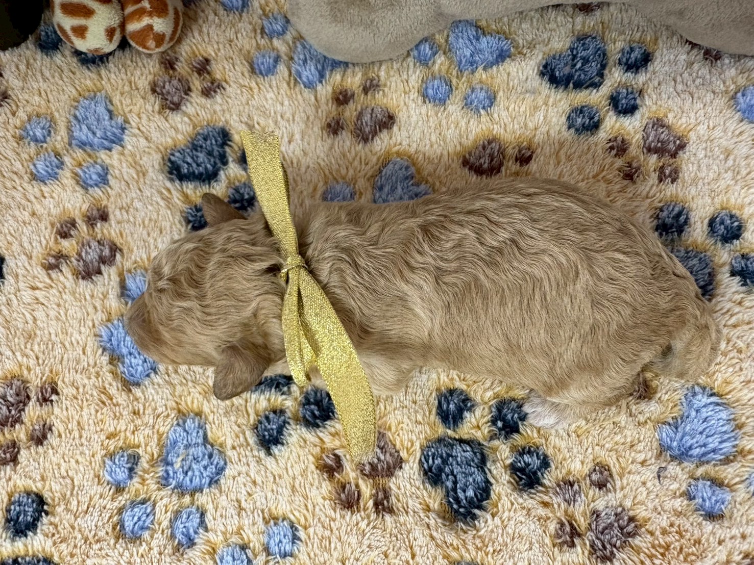 赤ちゃん写真1-3