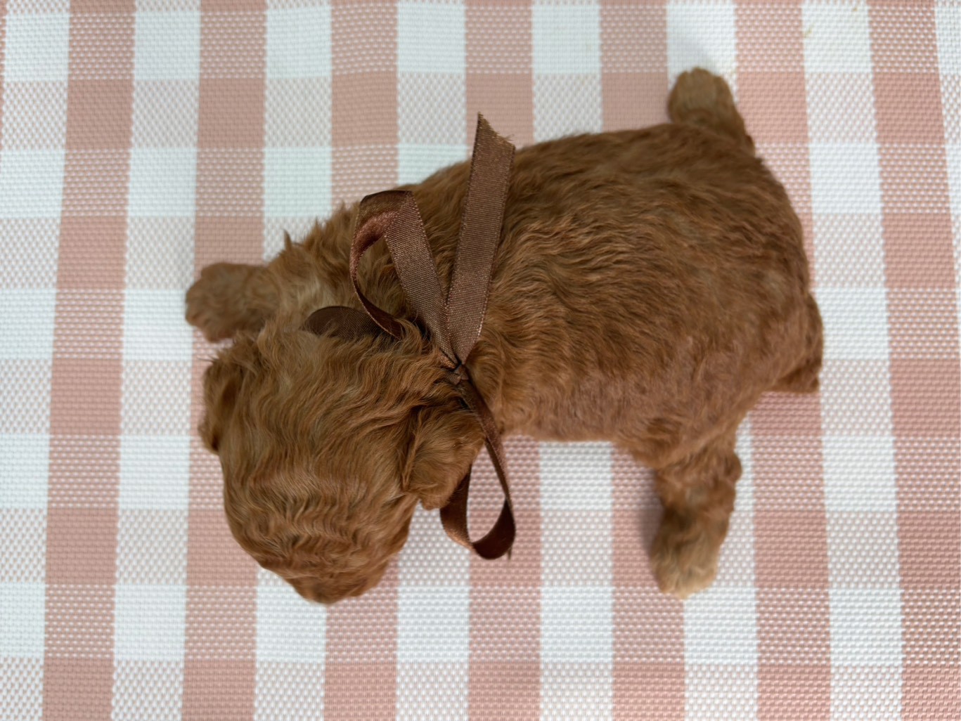 赤ちゃん写真2-2