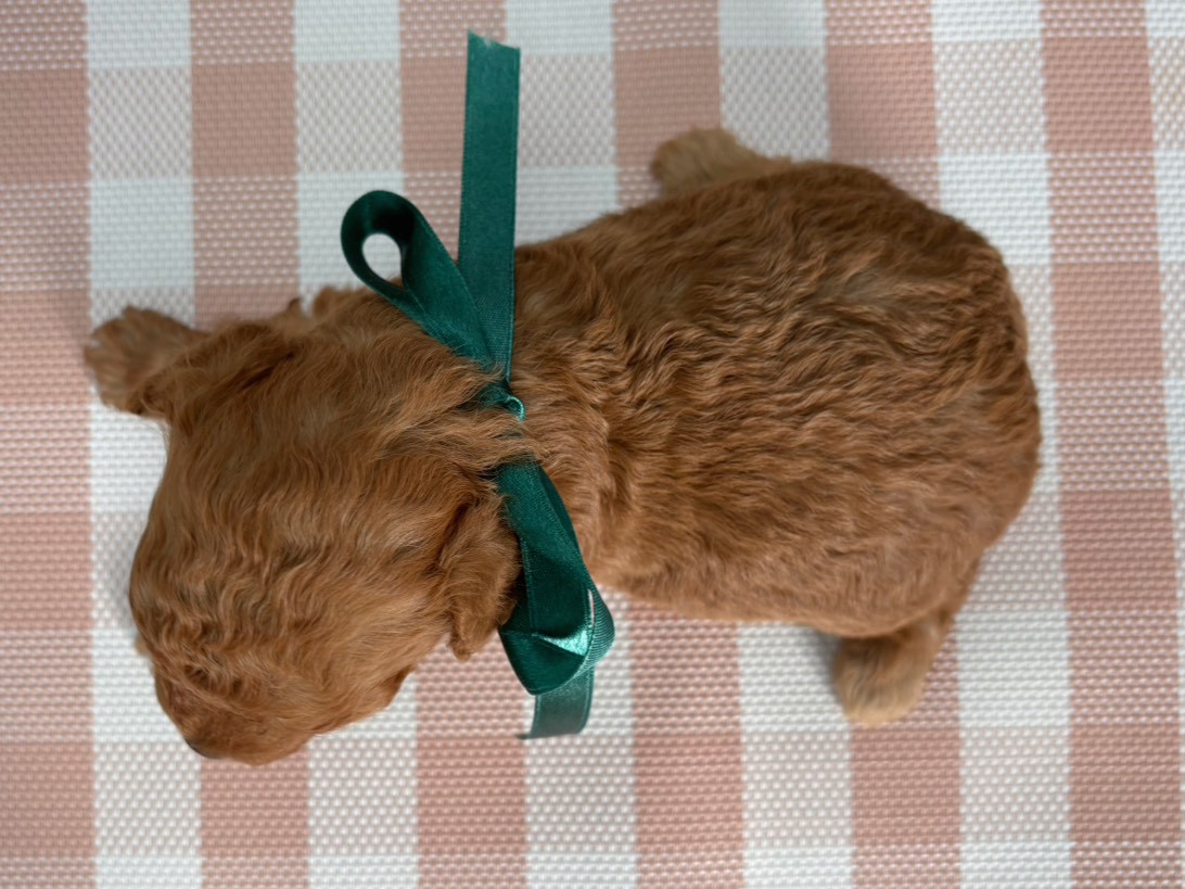 赤ちゃん写真2-3