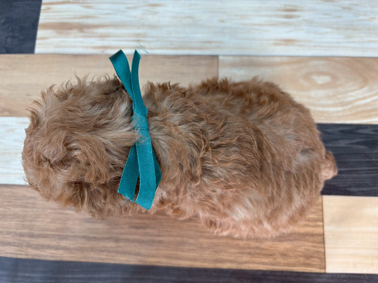 赤ちゃん写真3-3