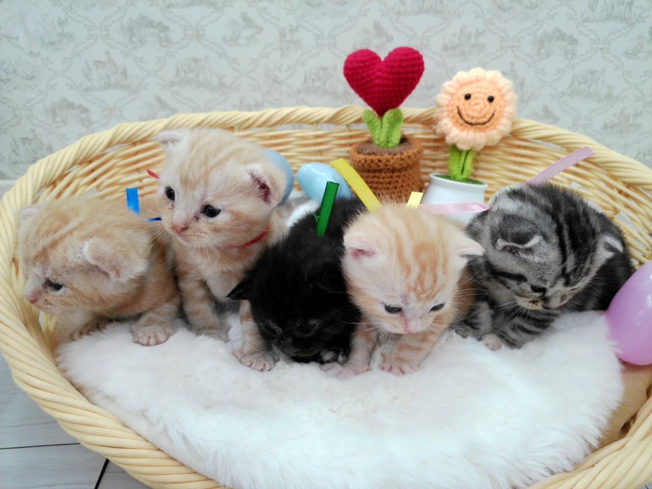 赤ちゃん写真1-3