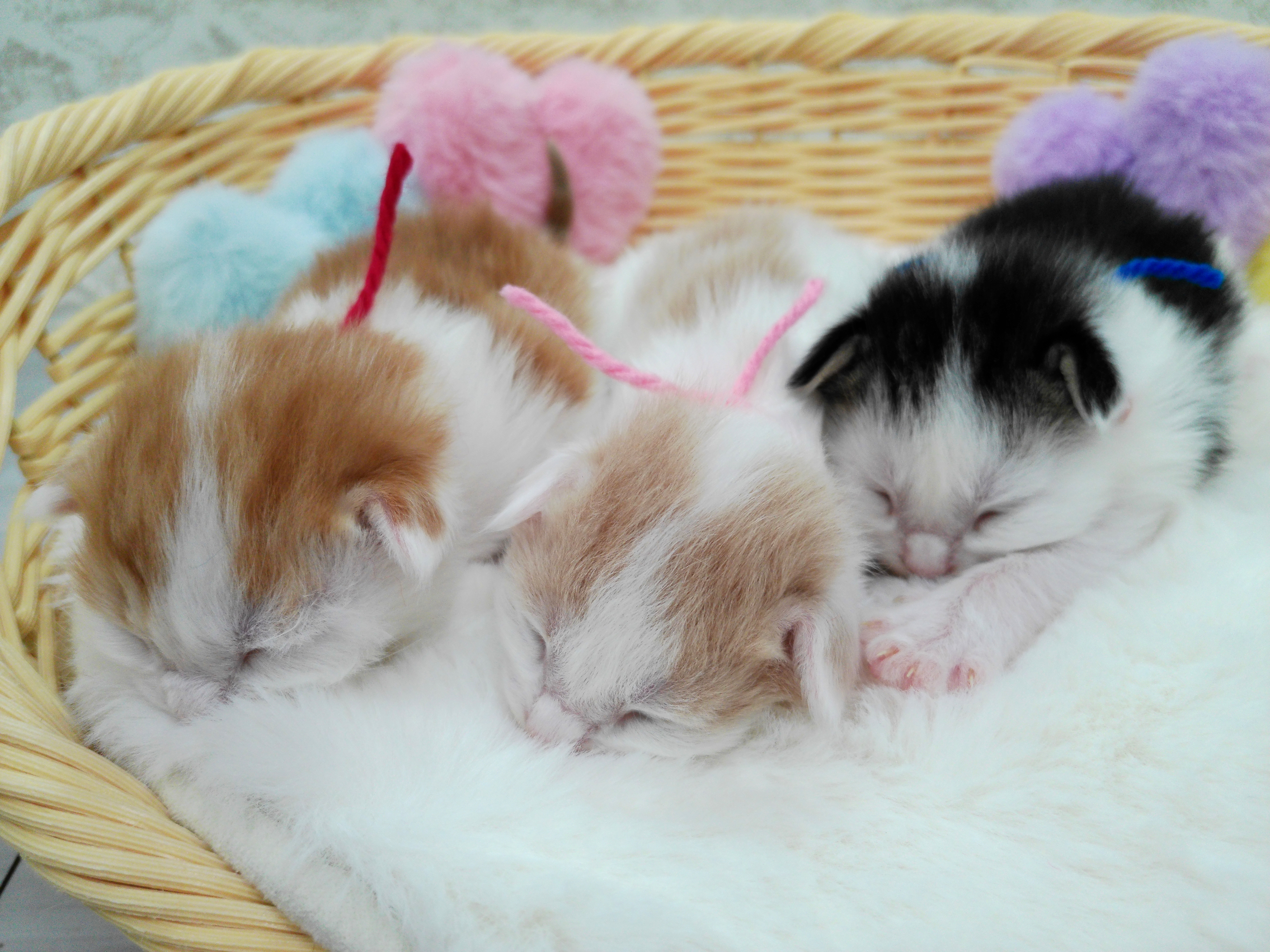 赤ちゃん写真1-3