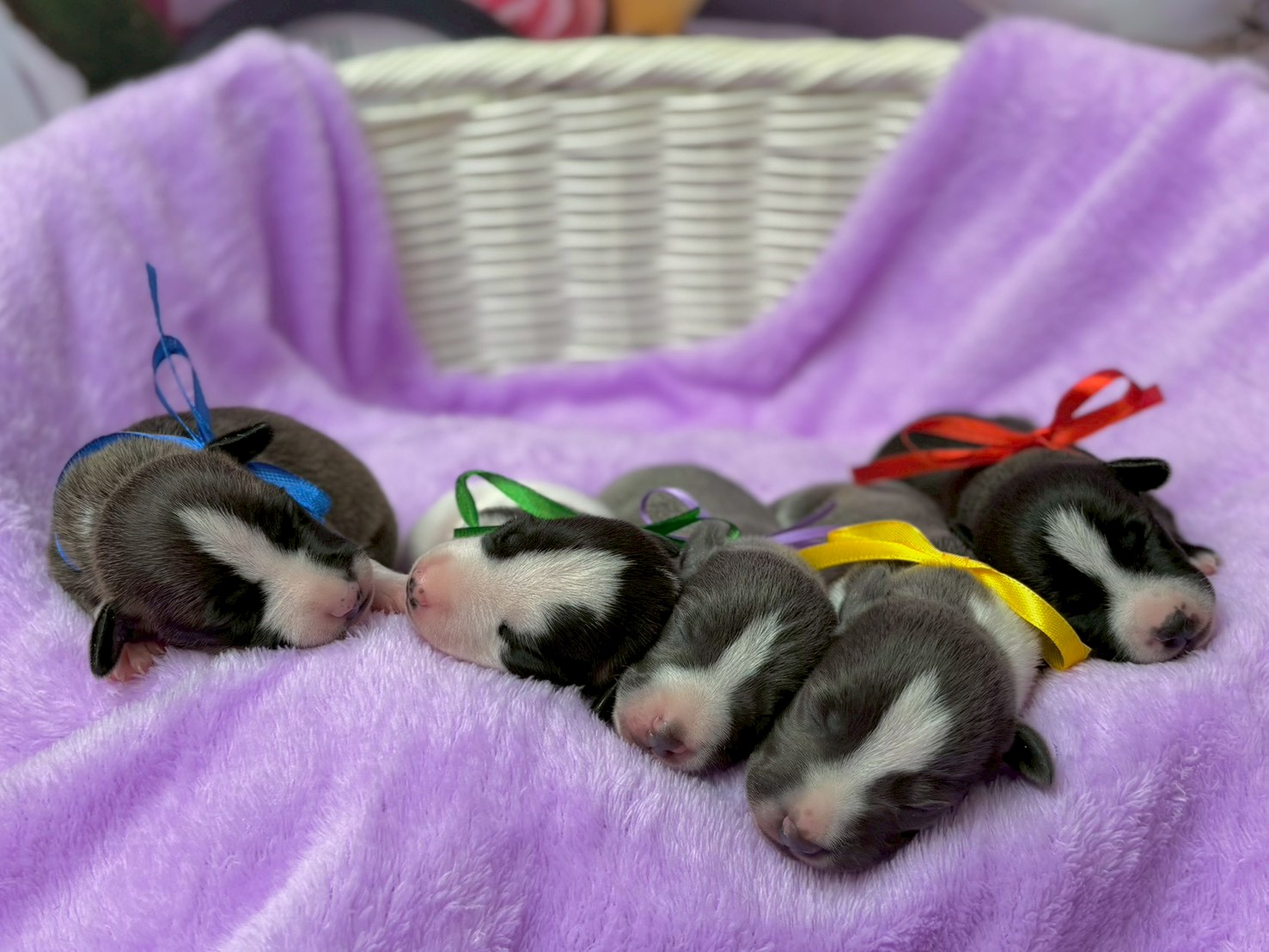 赤ちゃん写真1-3