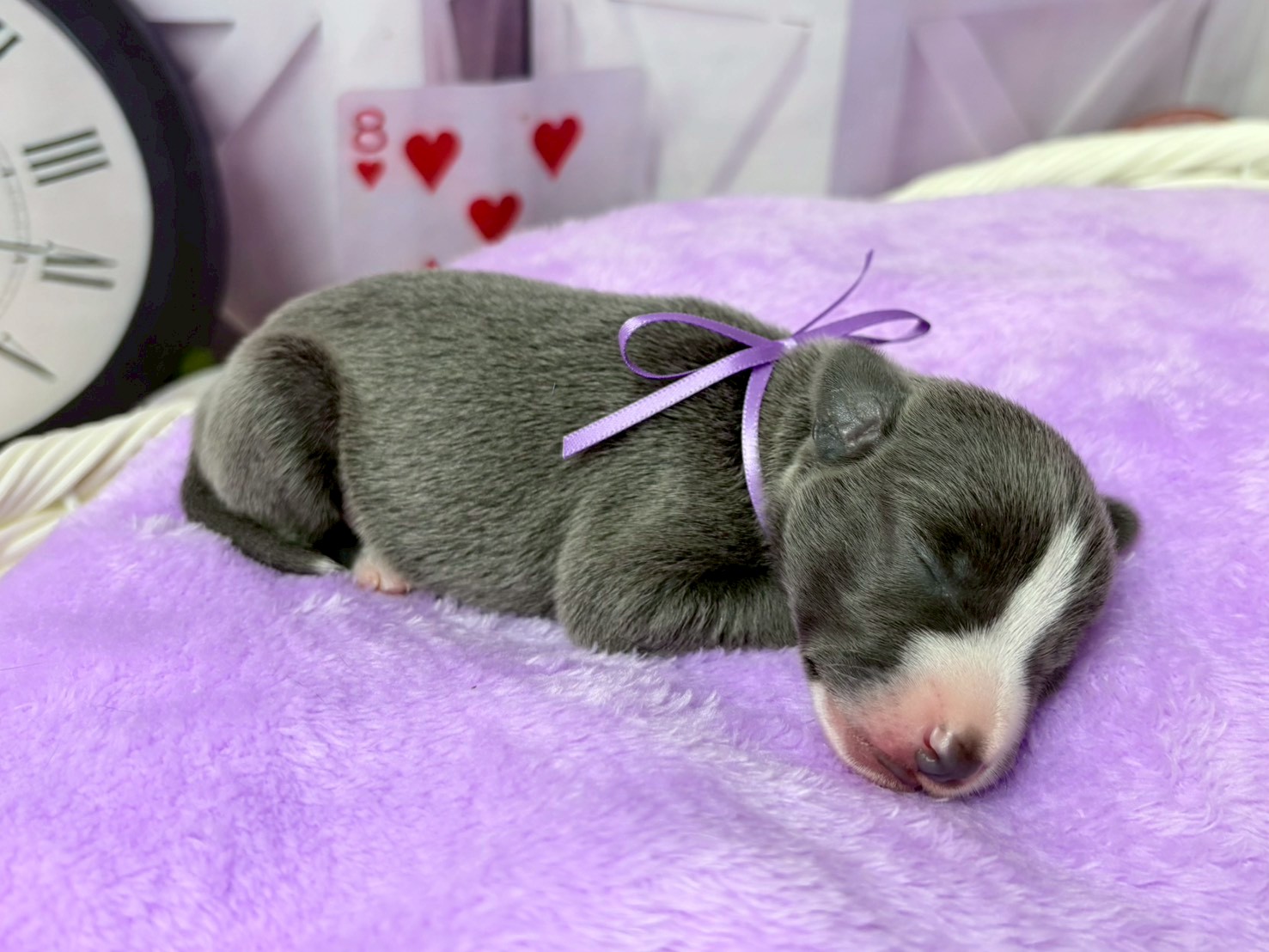 赤ちゃん写真1-2