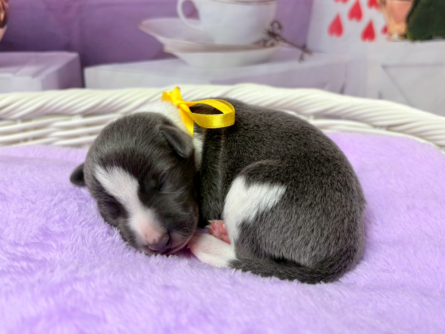 赤ちゃん写真1-2