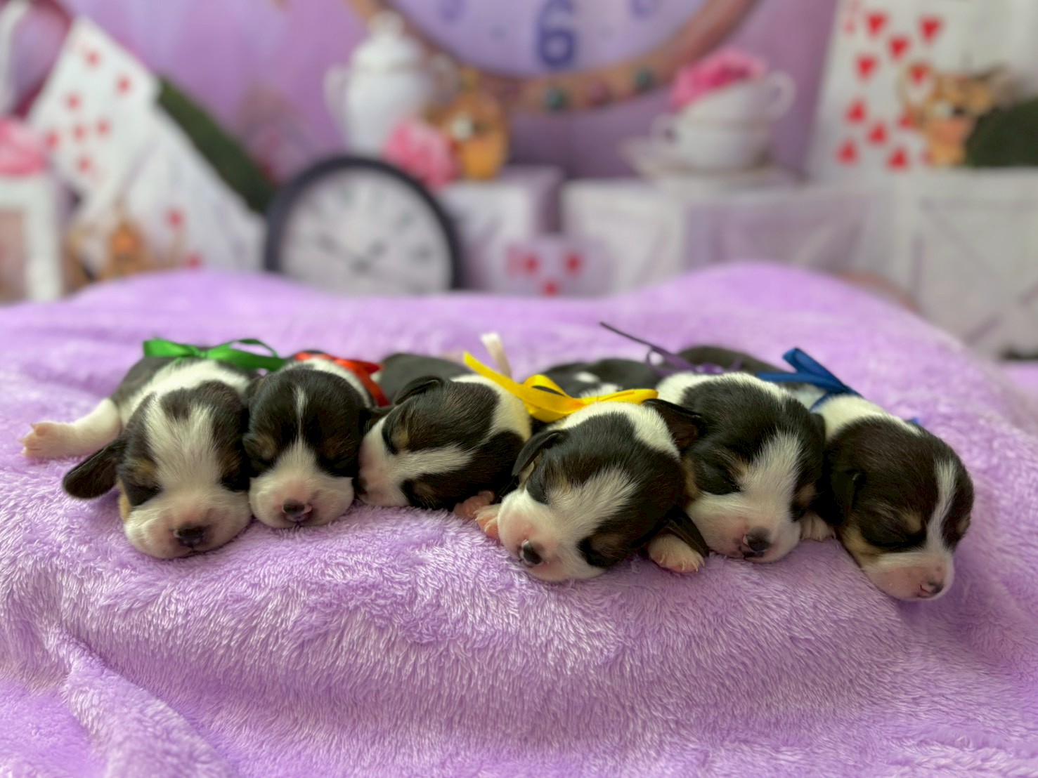 赤ちゃん写真1-3
