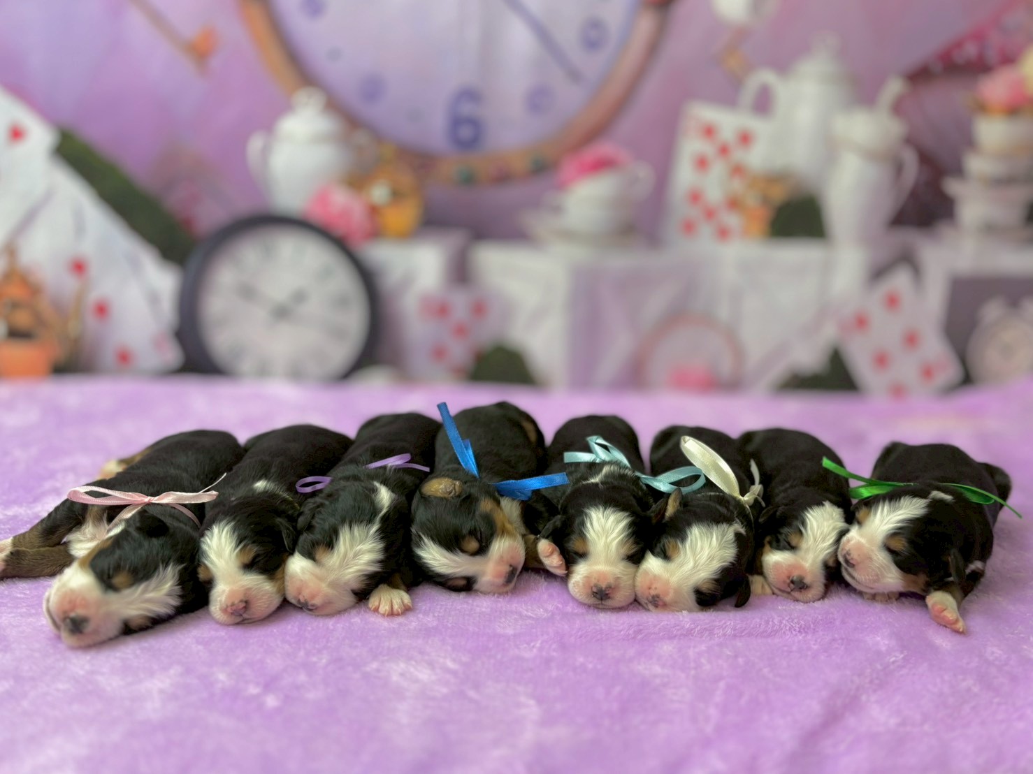 赤ちゃん写真1-3