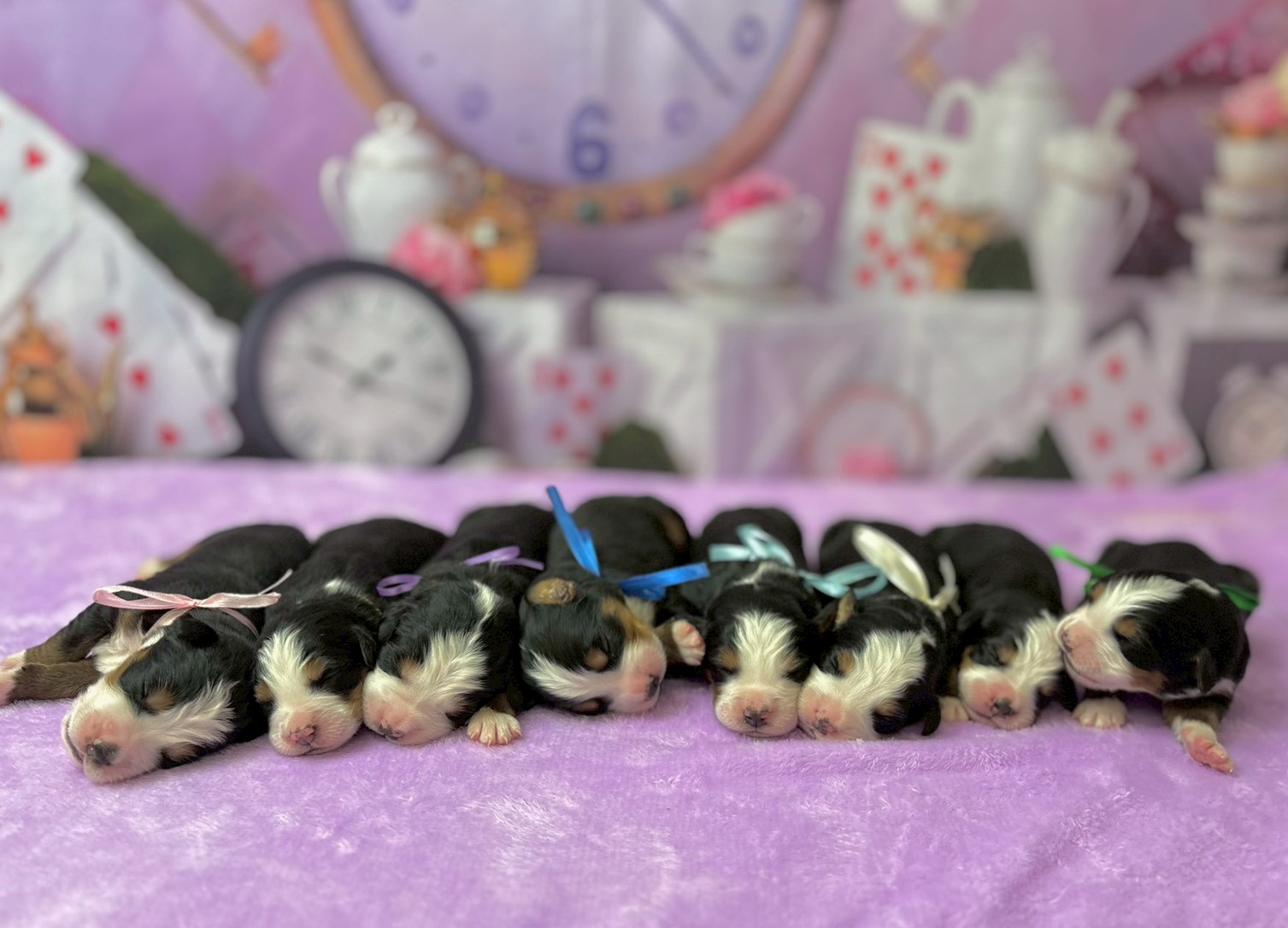 赤ちゃん写真1-3