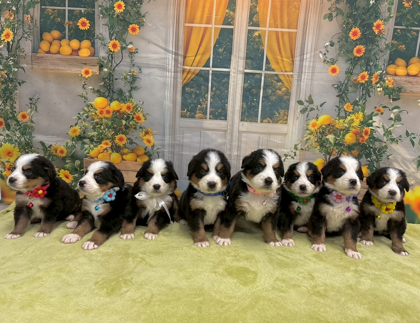 赤ちゃん写真2-3