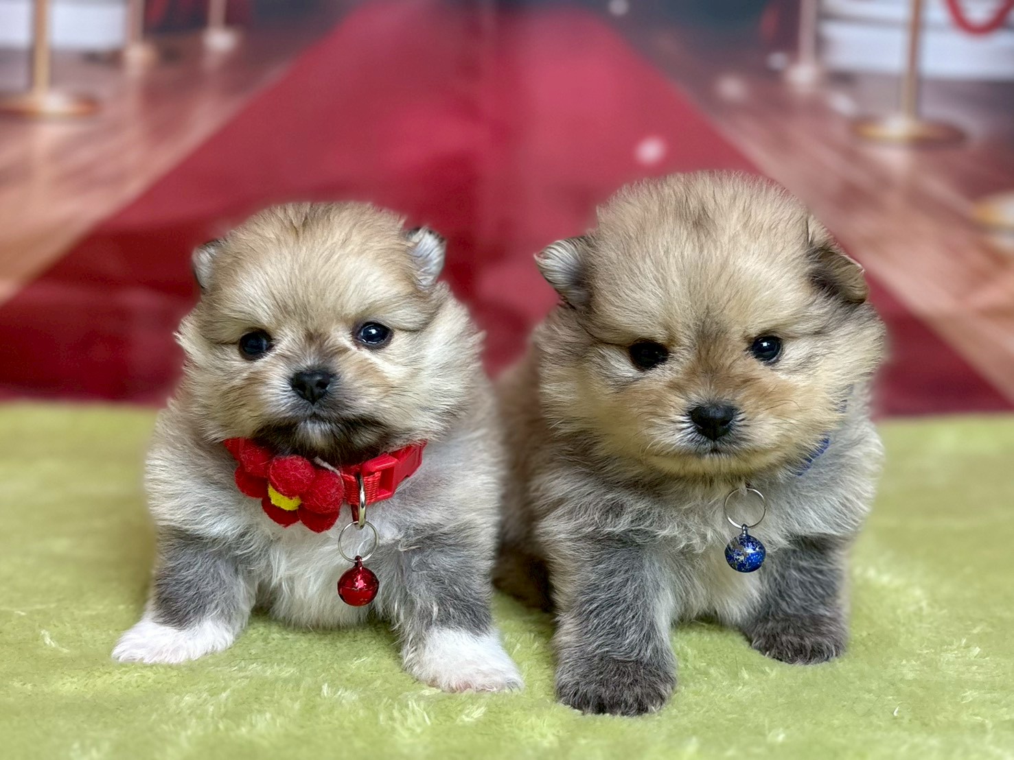 赤ちゃん写真2-3