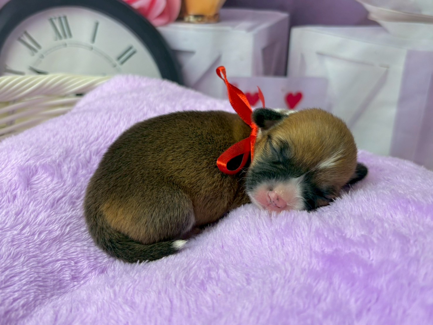 赤ちゃん写真1-2