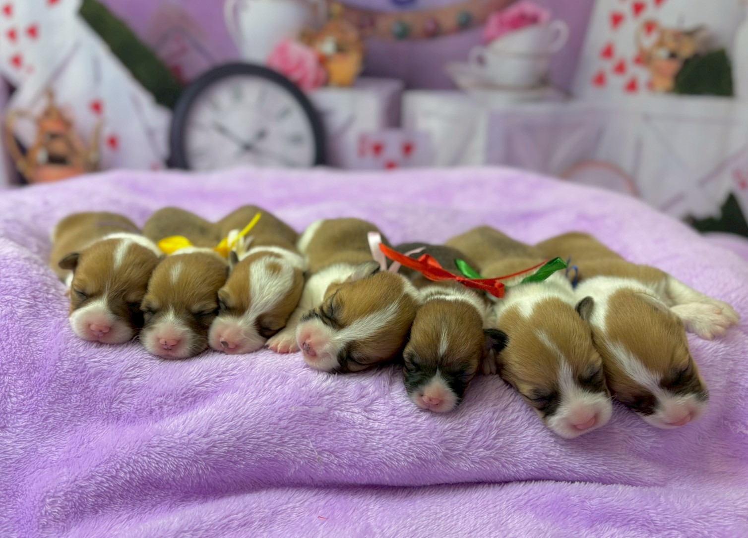 赤ちゃん写真1-3