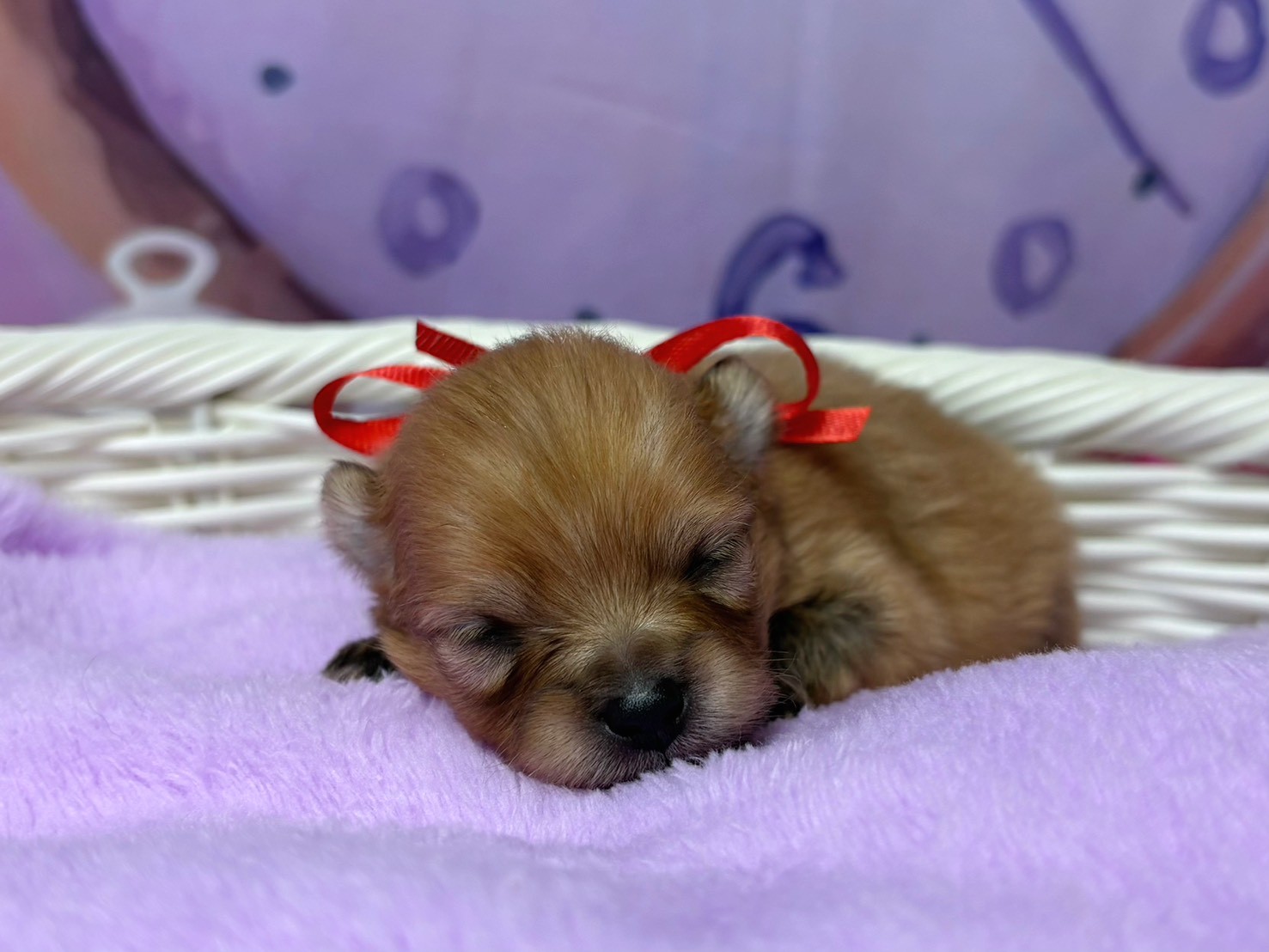 赤ちゃん写真1-1