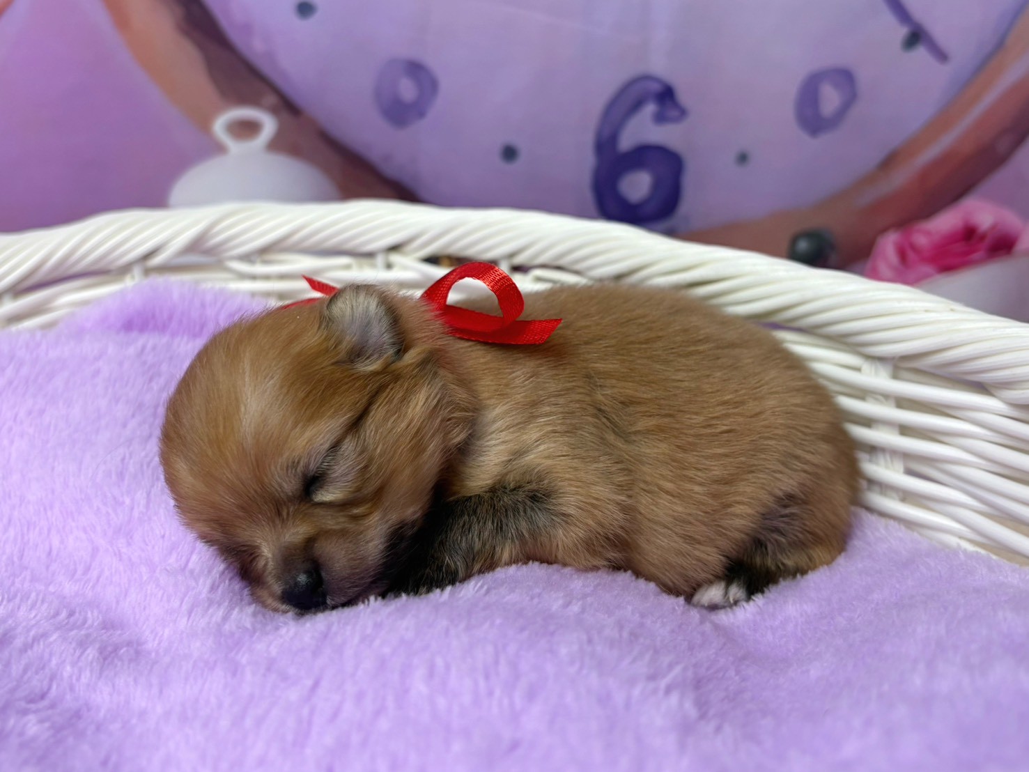 赤ちゃん写真1-2