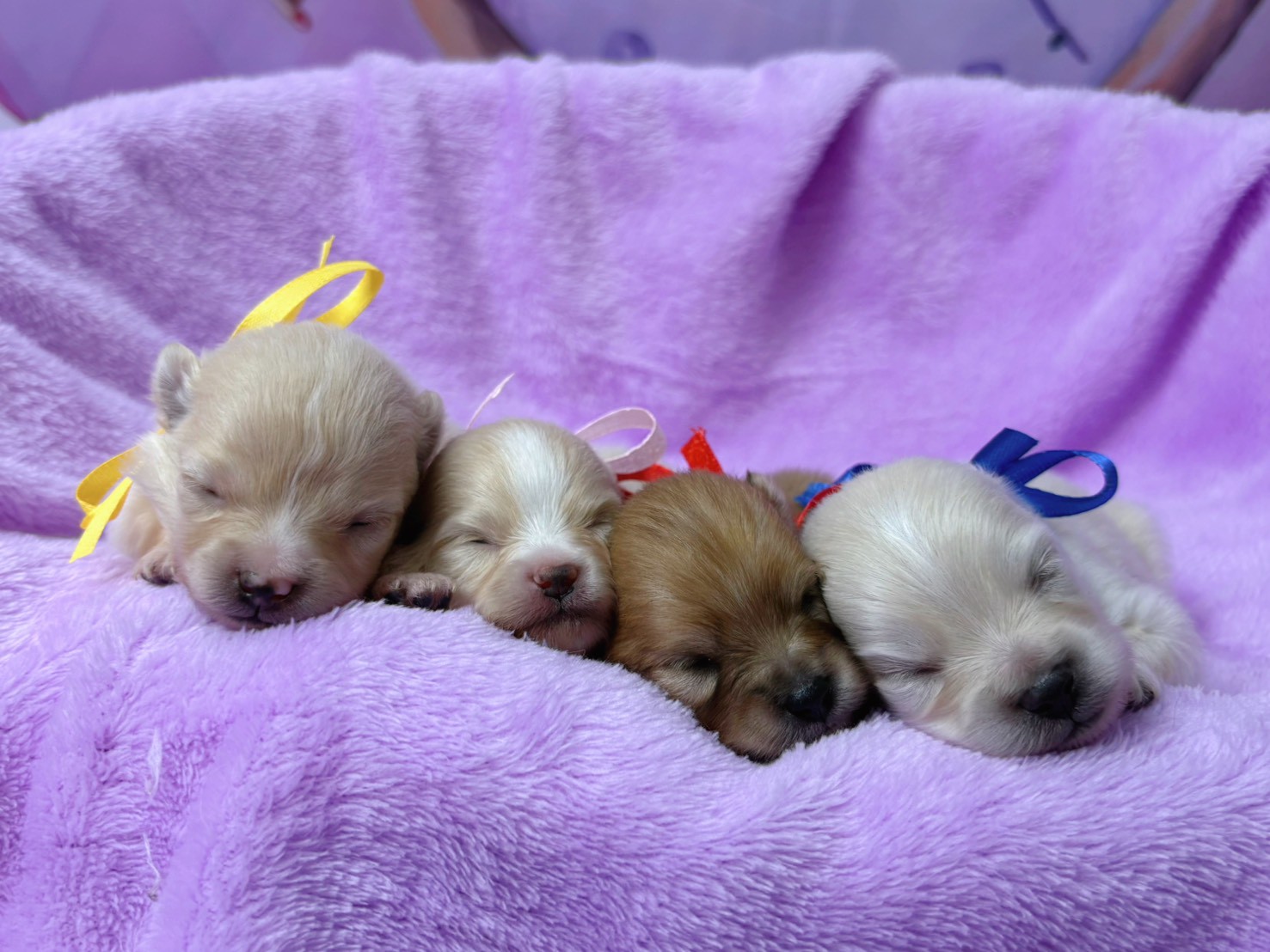 赤ちゃん写真1-3