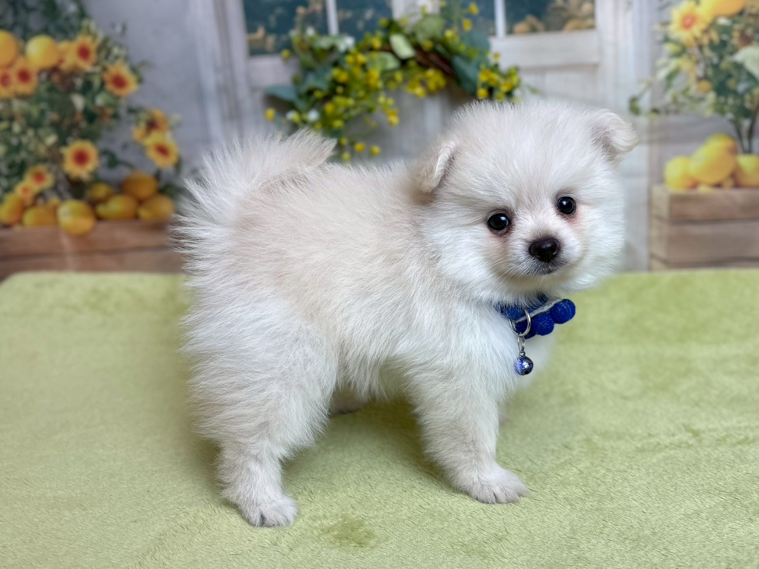 赤ちゃん写真3-2