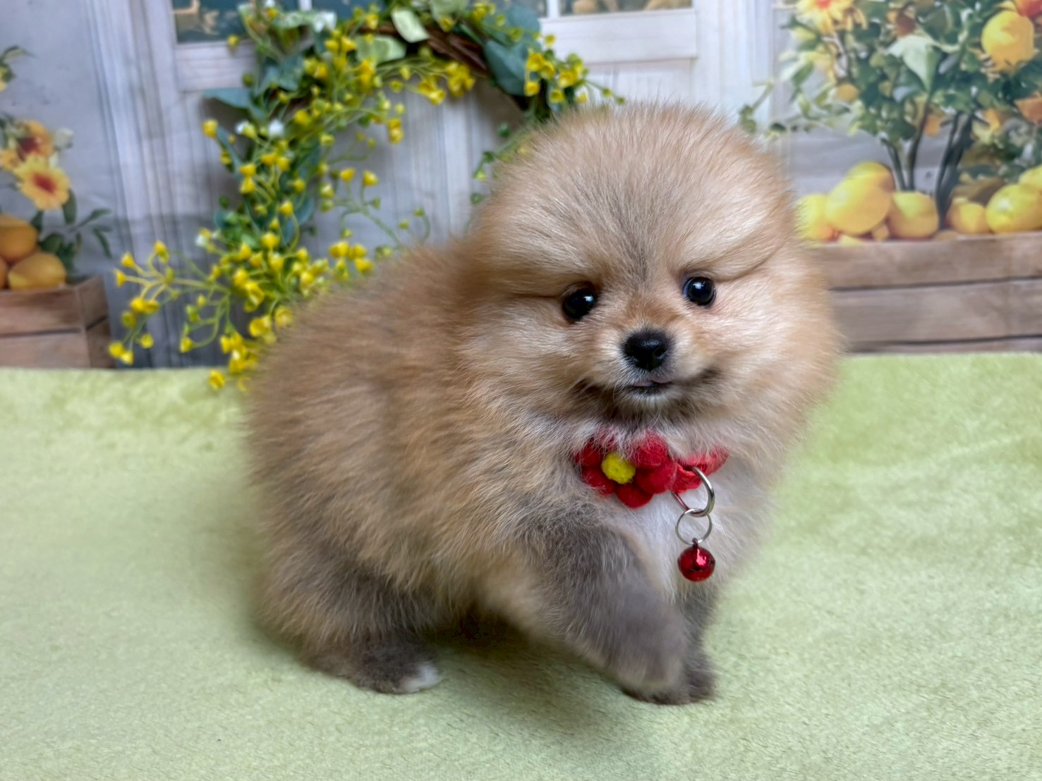 赤ちゃん写真3-2