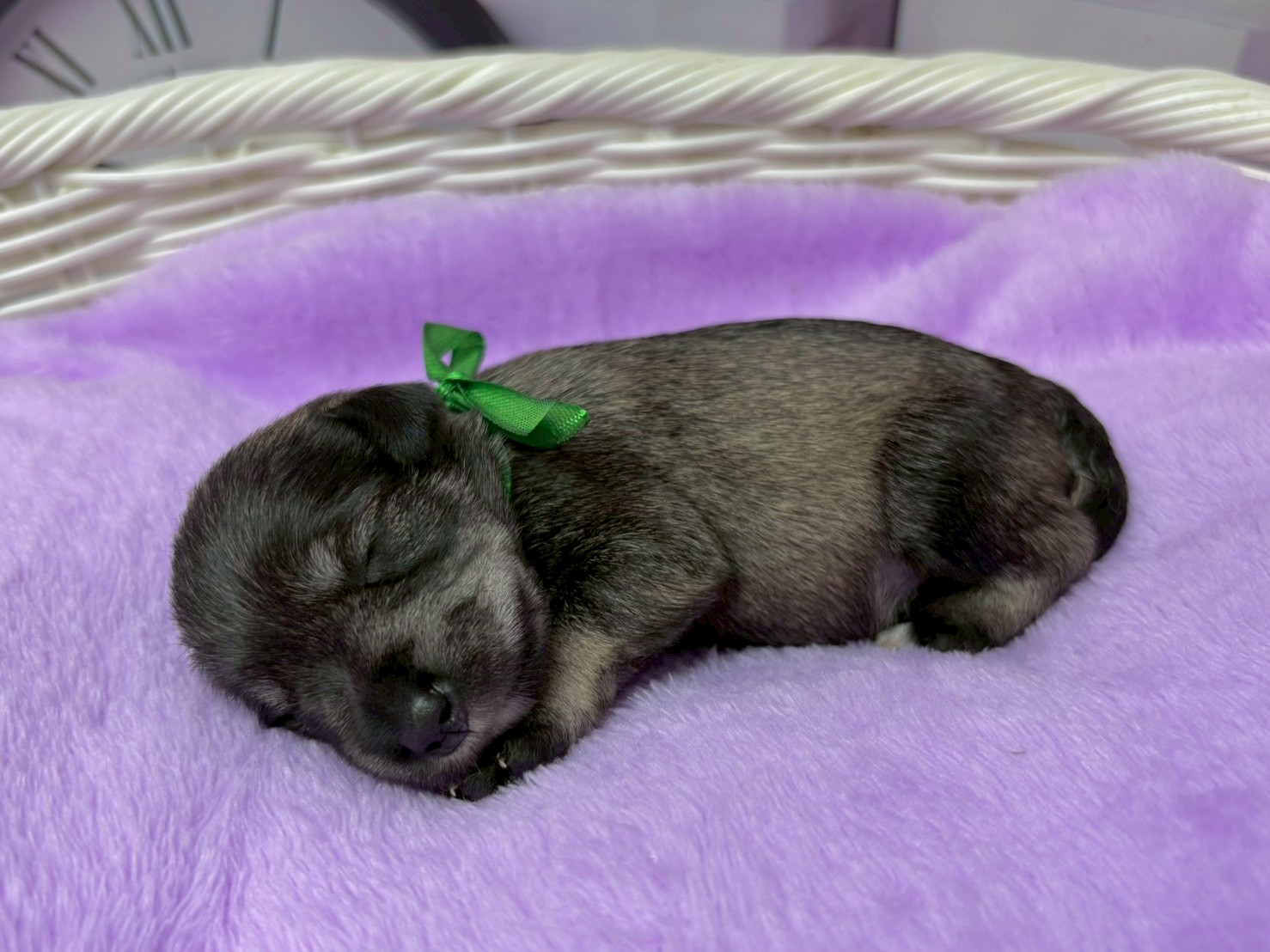 赤ちゃん写真1-2