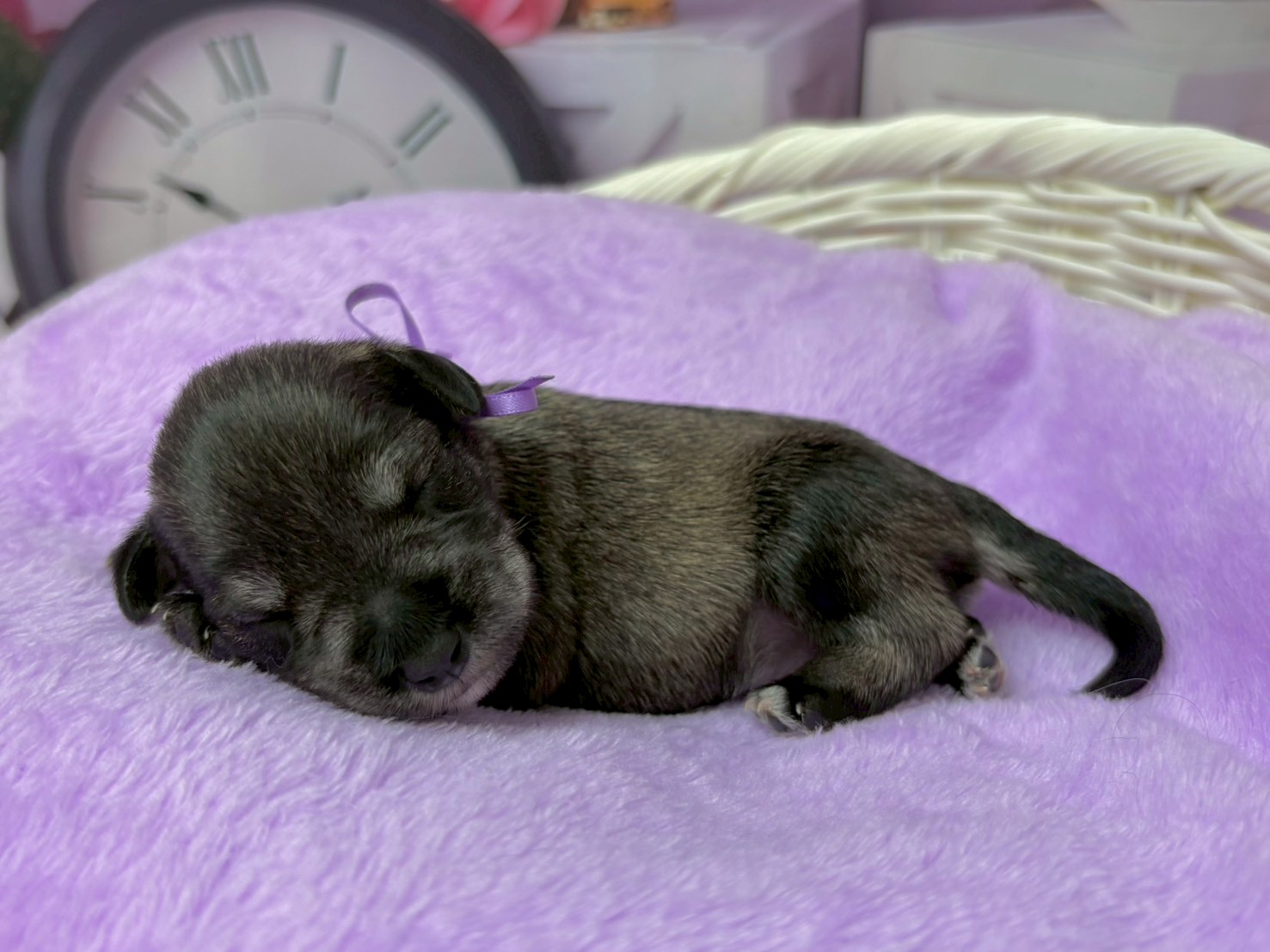 赤ちゃん写真1-2