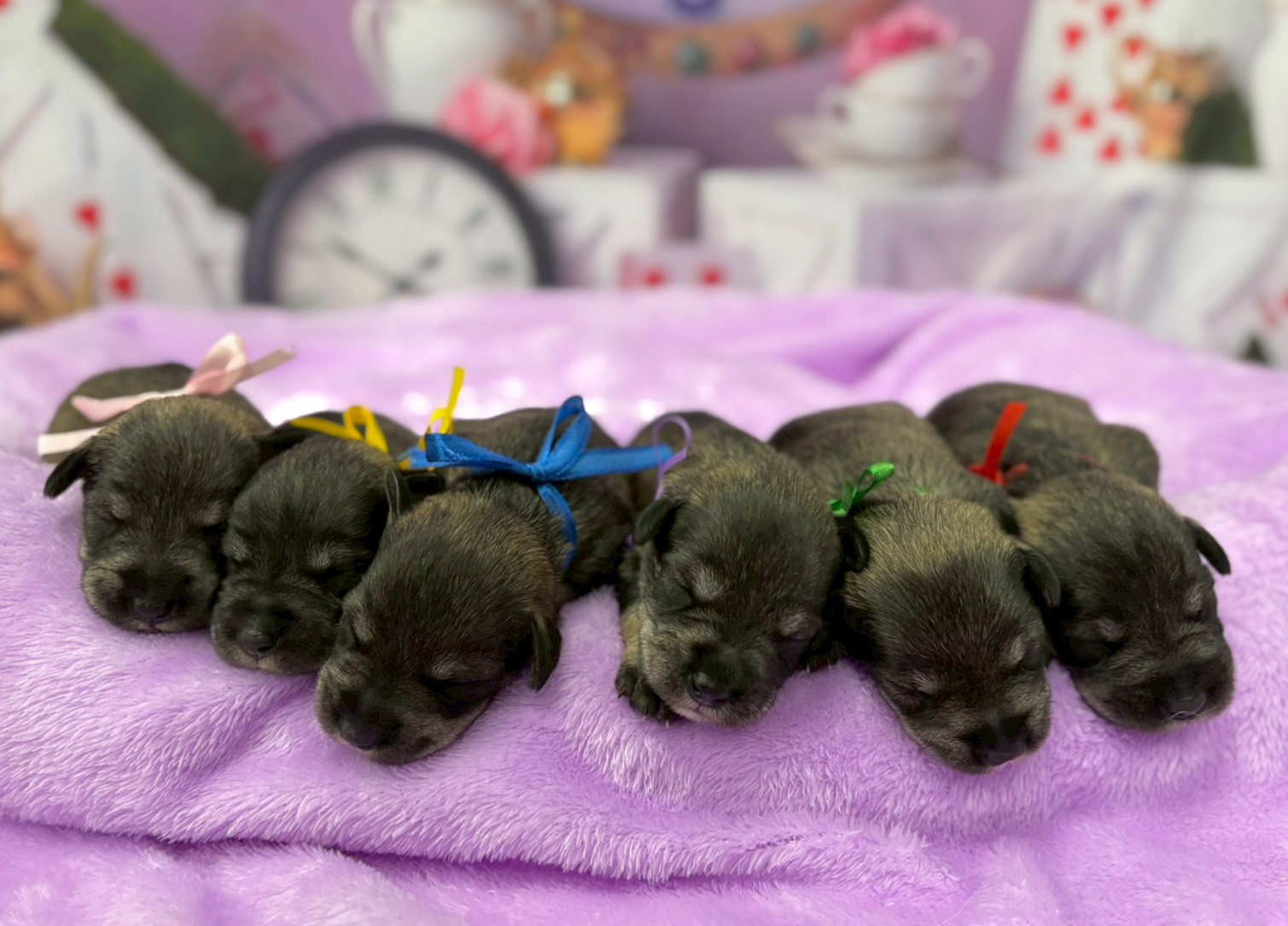 赤ちゃん写真1-3