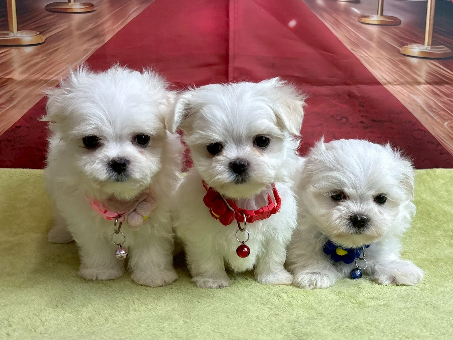 赤ちゃん写真3-3