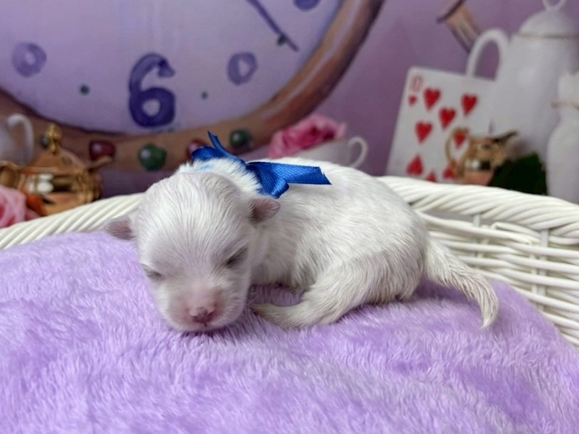 赤ちゃん写真1-2