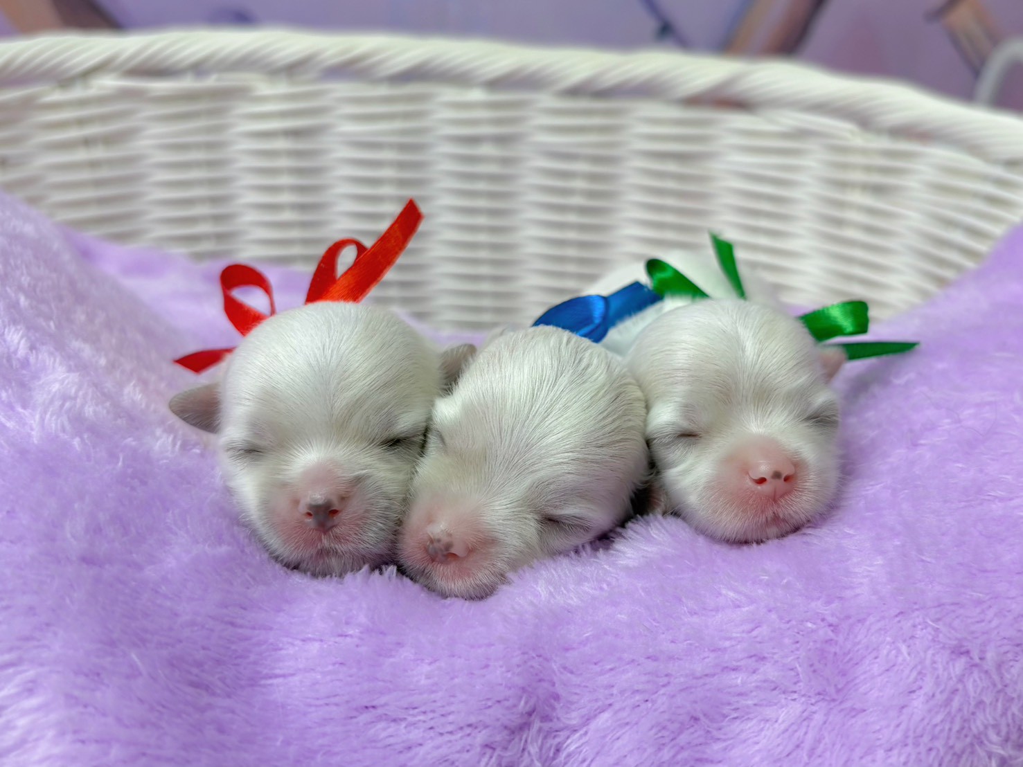 赤ちゃん写真1-3