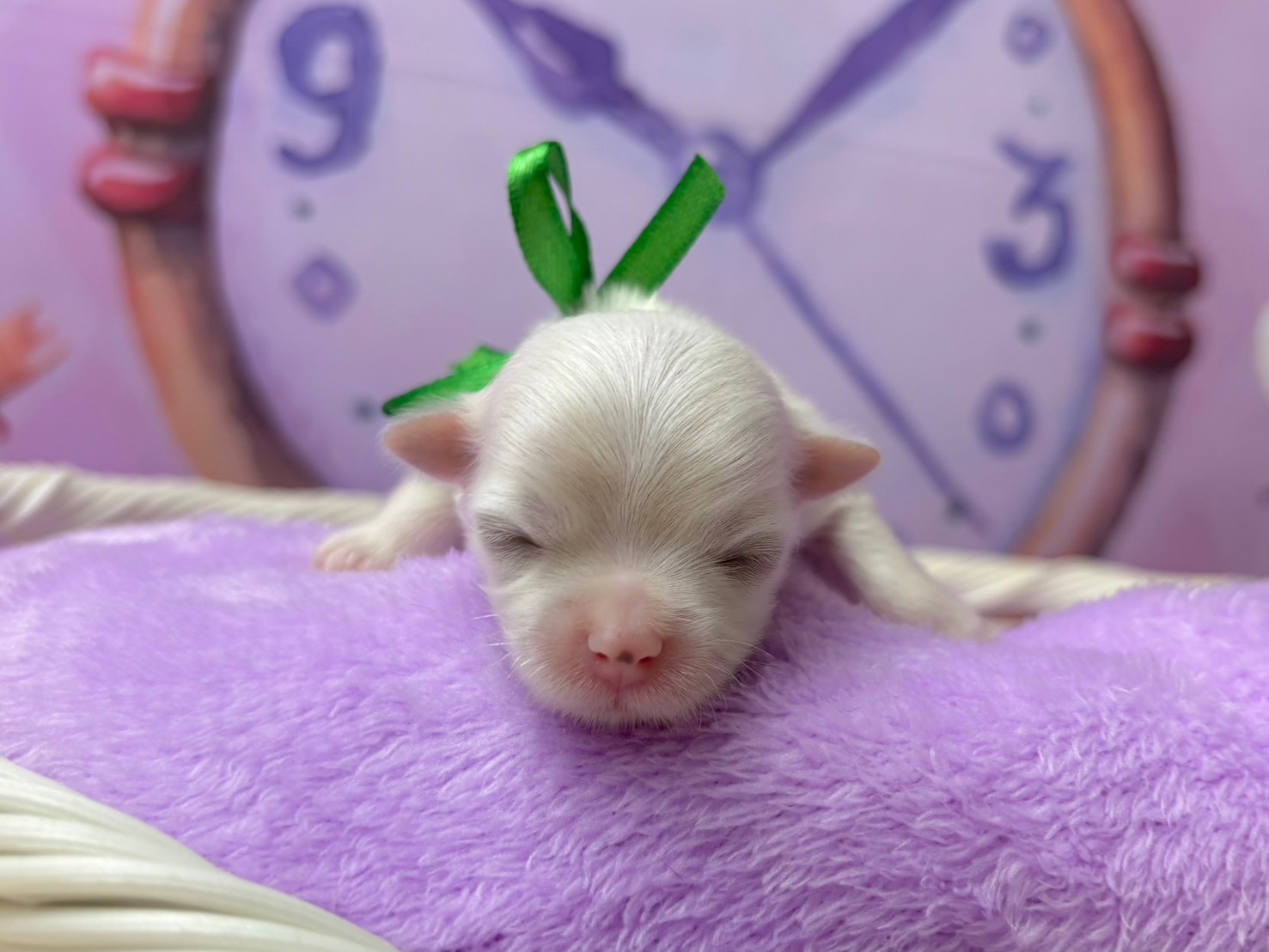 赤ちゃん写真1-1