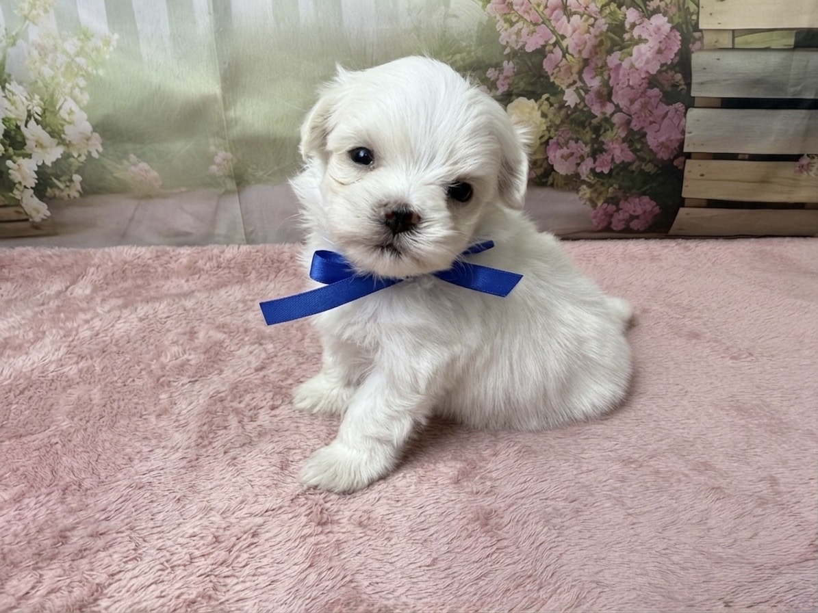 赤ちゃん写真2-2