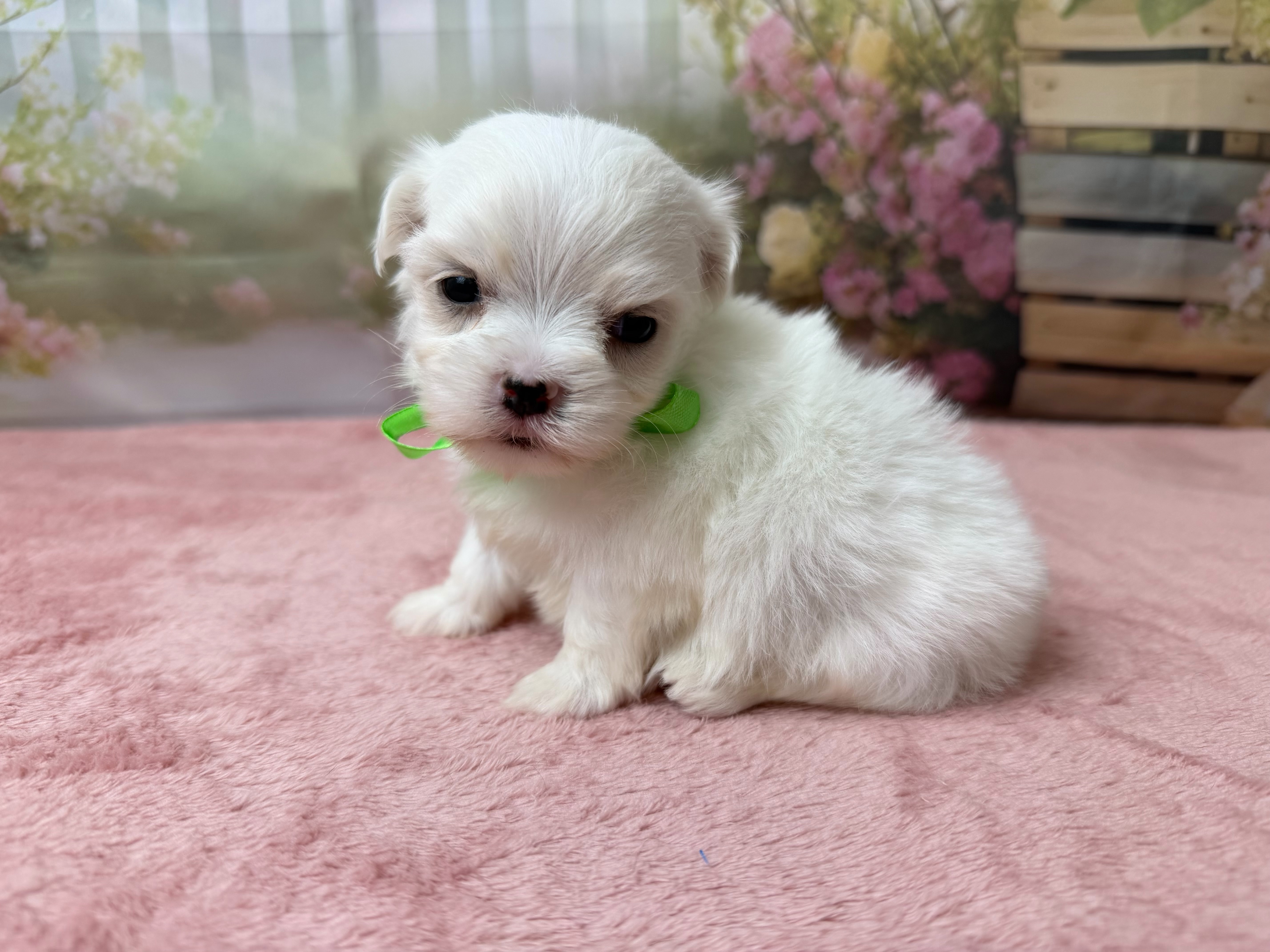赤ちゃん写真2-2
