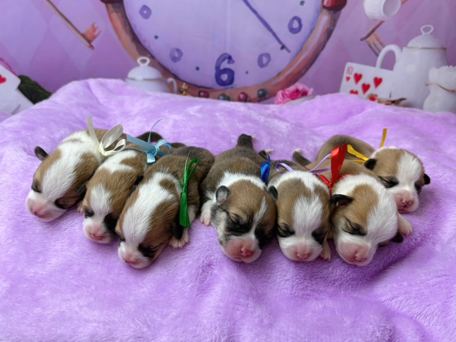 赤ちゃん写真1-3