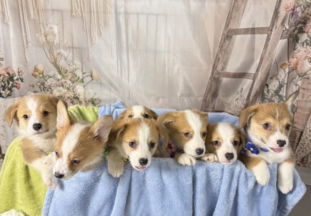 赤ちゃん写真3-3