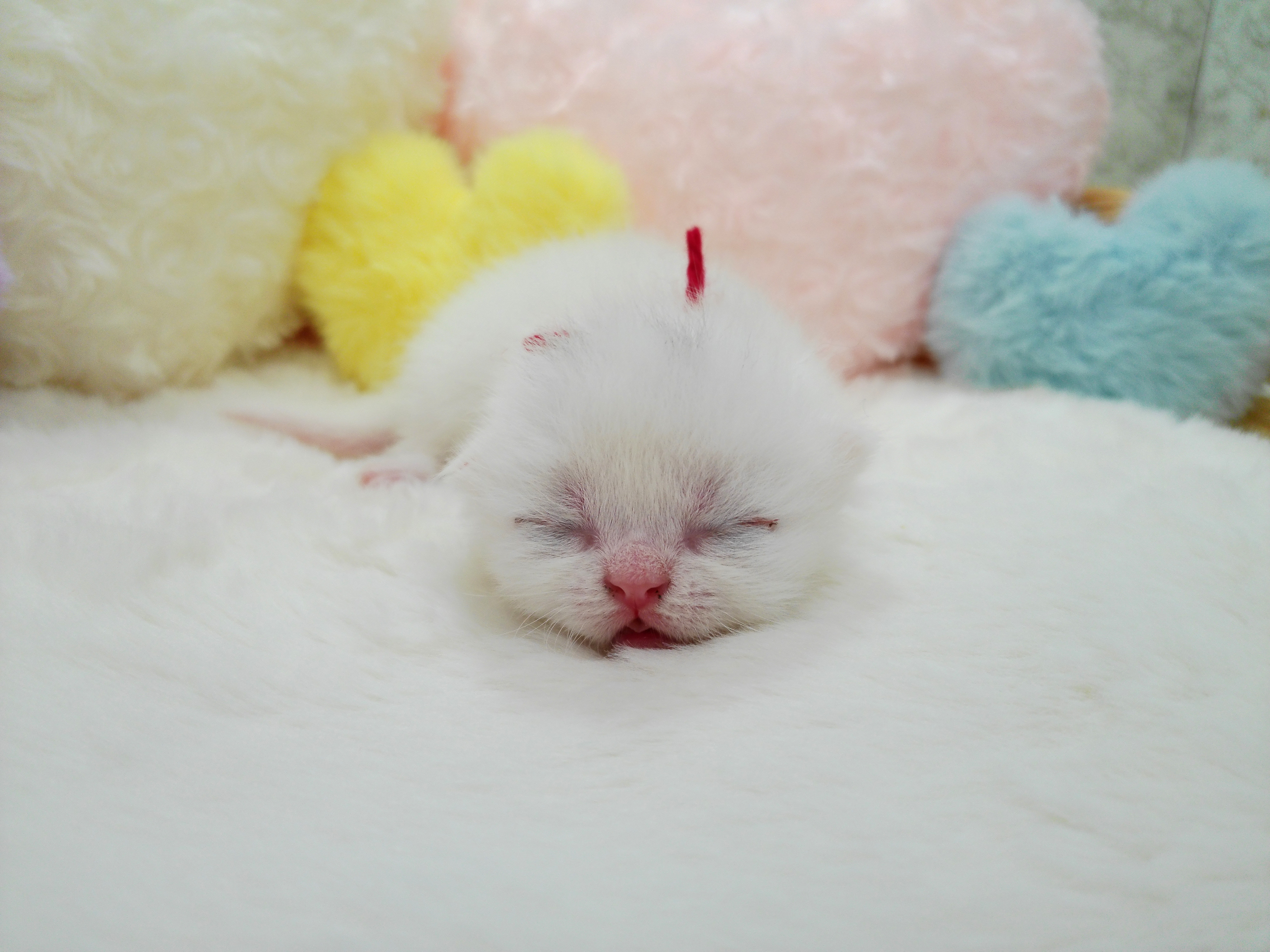 赤ちゃん写真1-1
