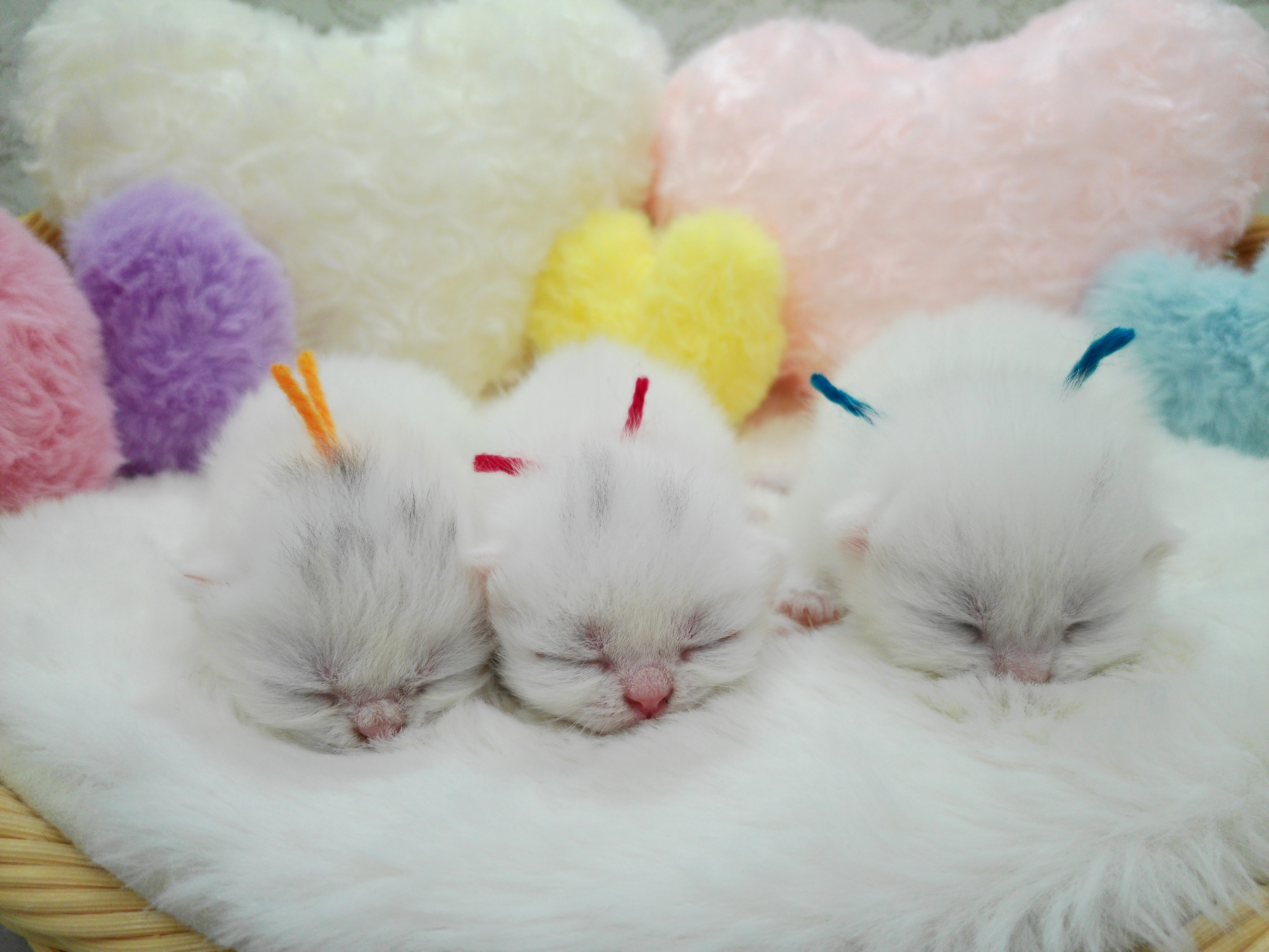 赤ちゃん写真1-3