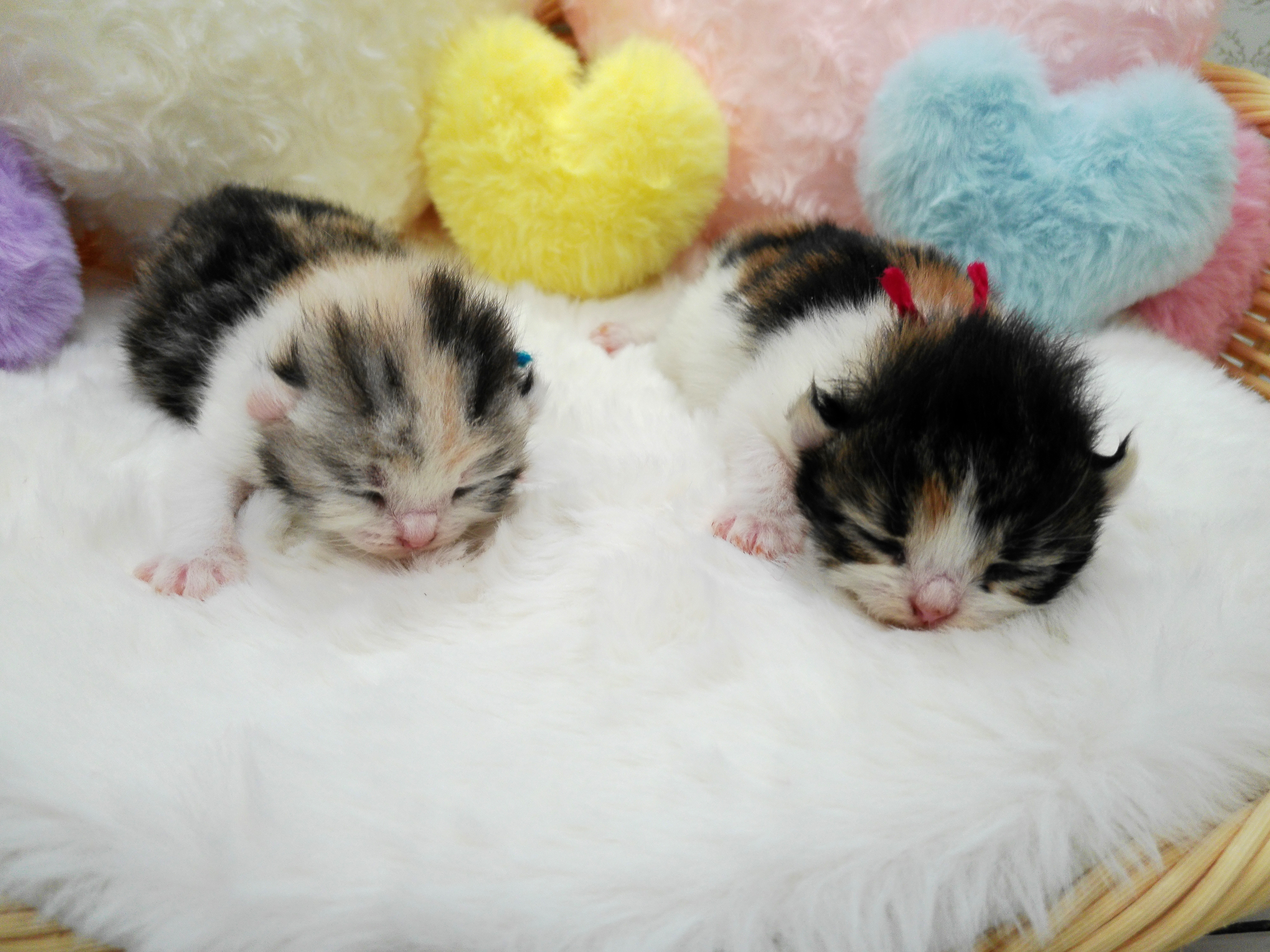赤ちゃん写真1-3