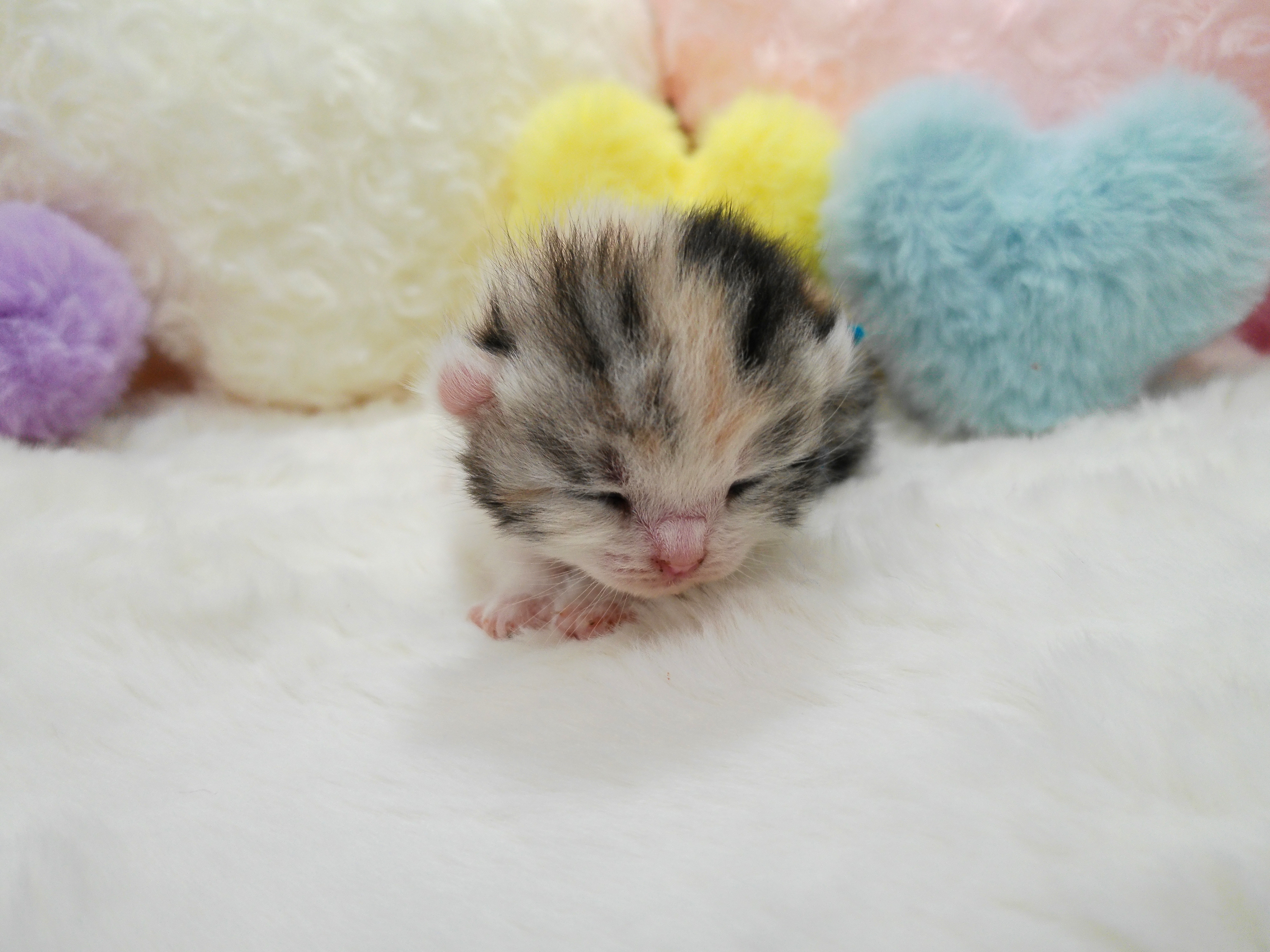 赤ちゃん写真1-1