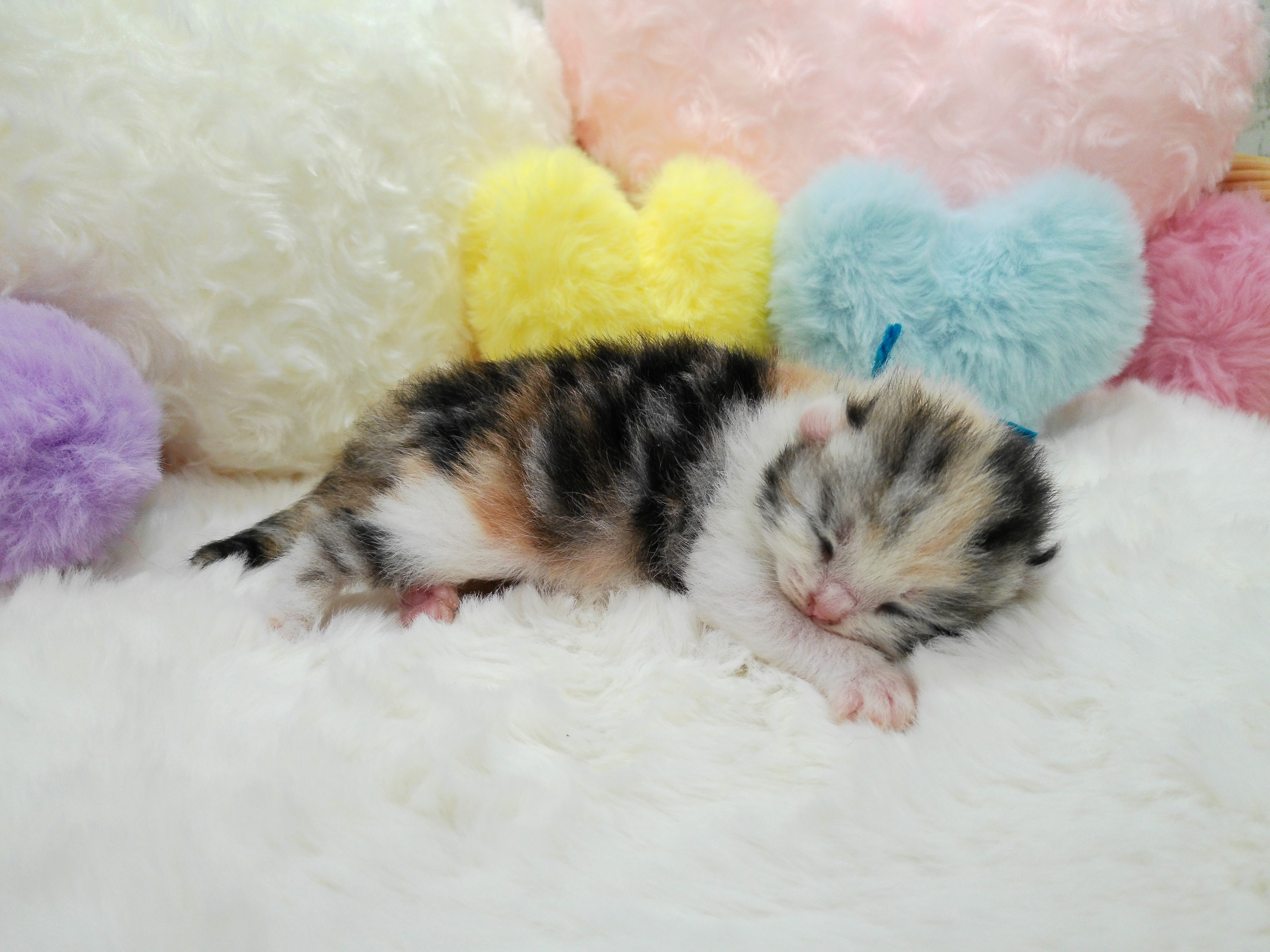 赤ちゃん写真1-2