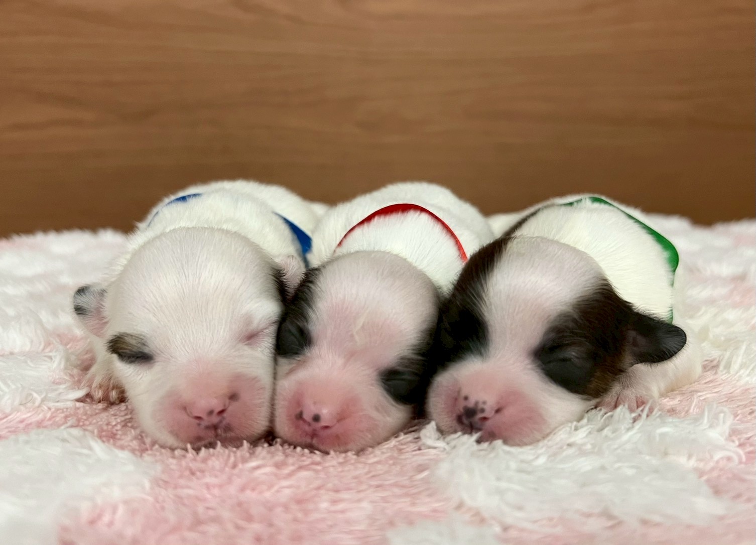 赤ちゃん写真1-3