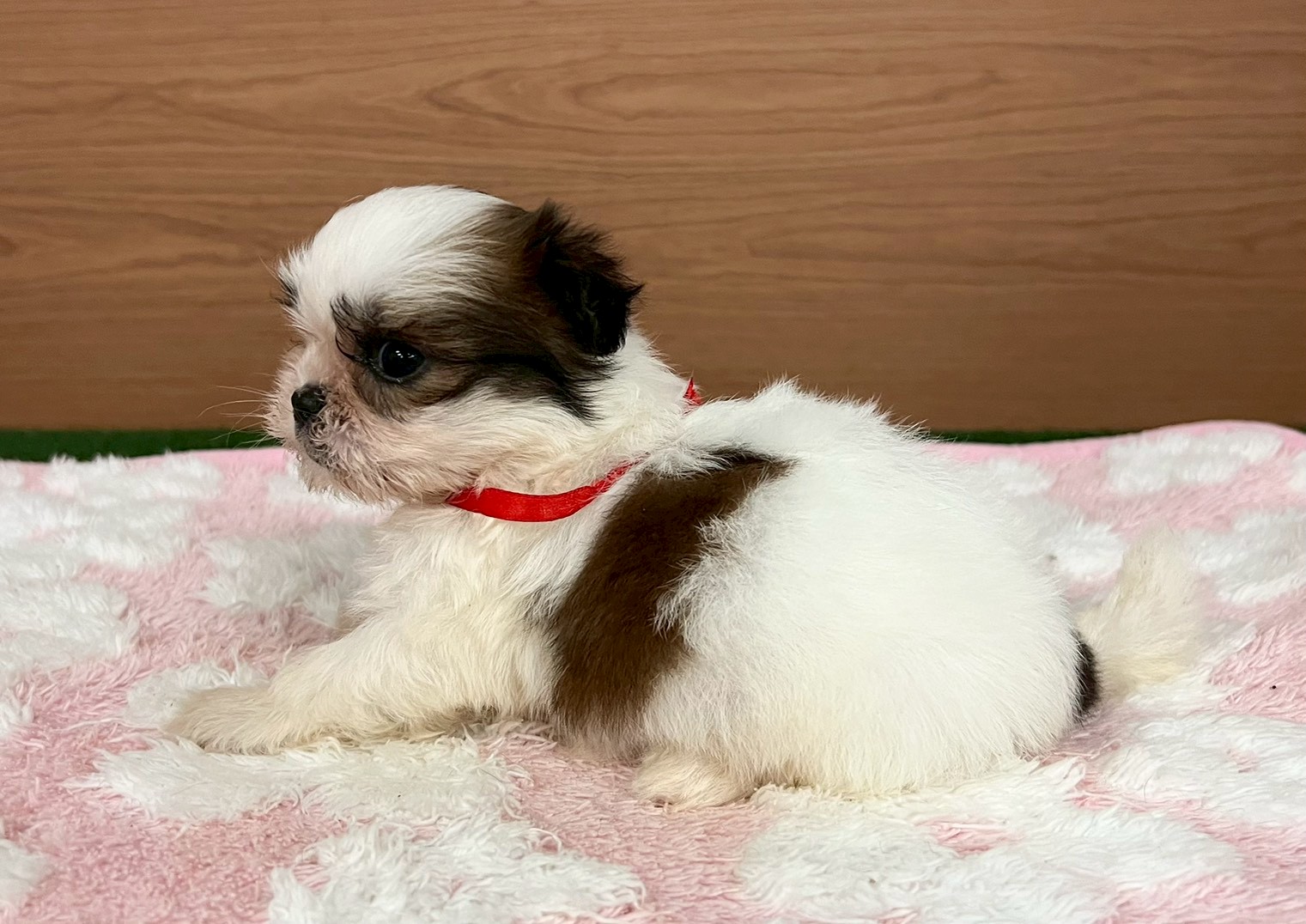赤ちゃん写真2-2