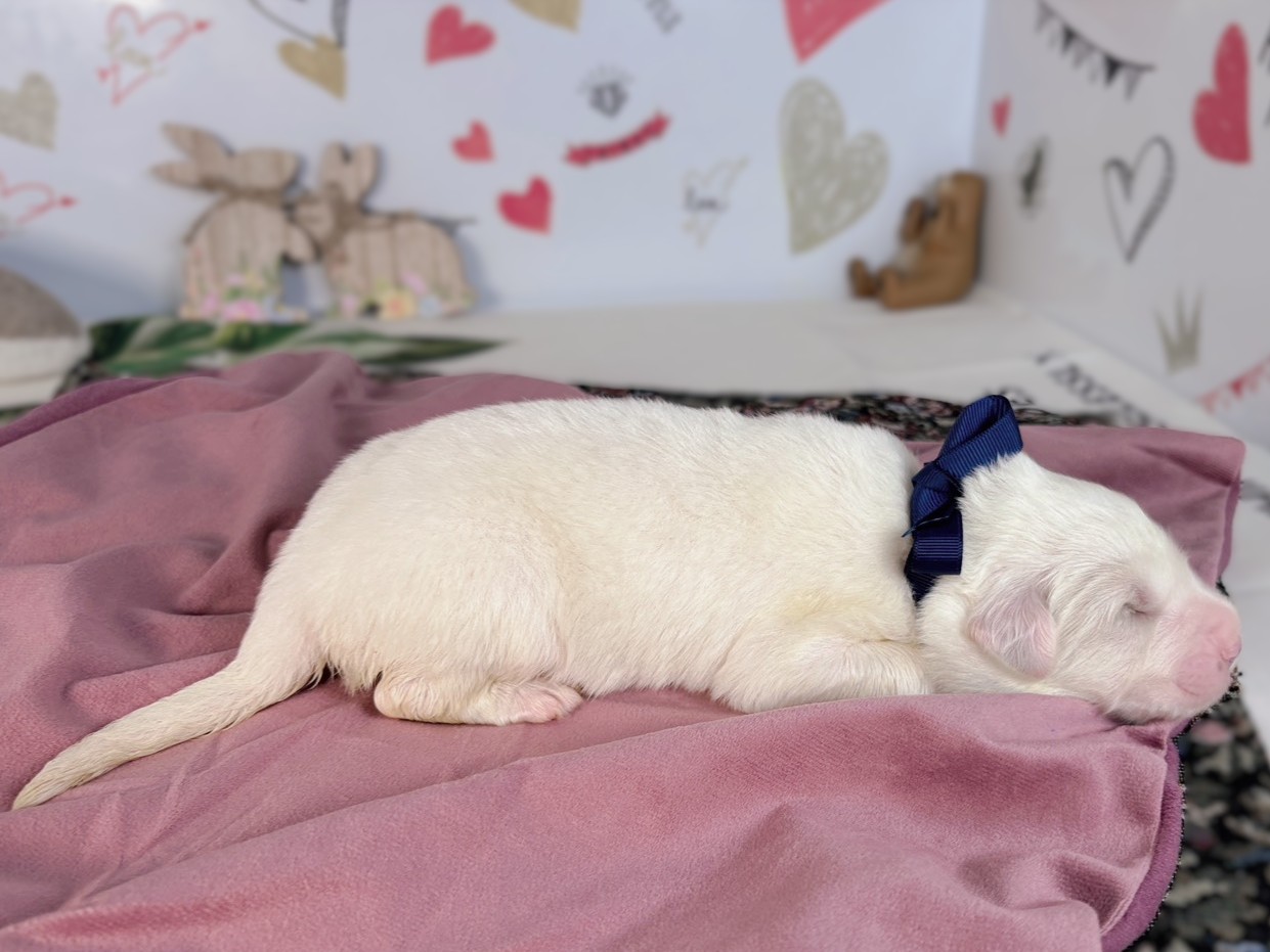 赤ちゃん写真1-2