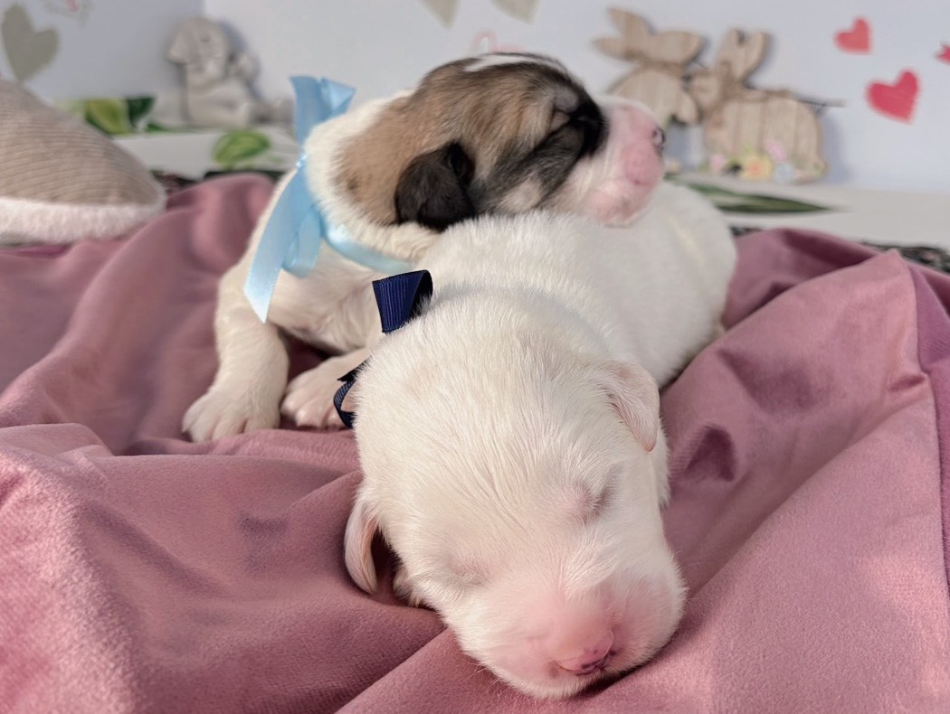 赤ちゃん写真1-3