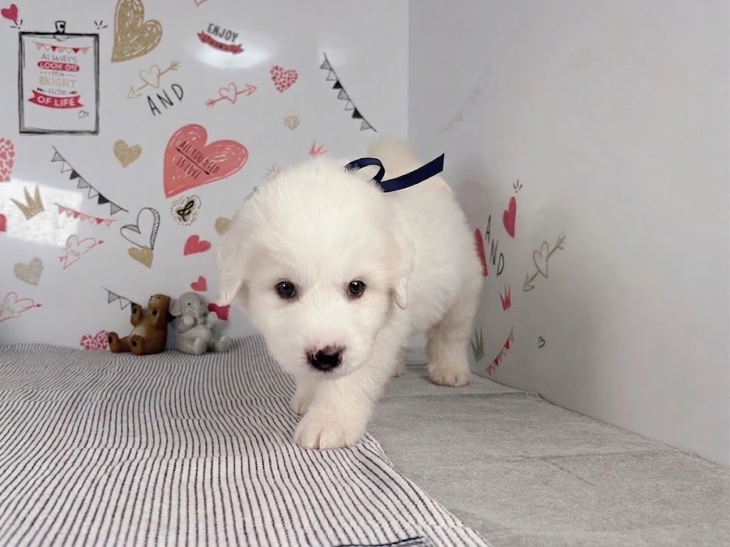 赤ちゃん写真3-1