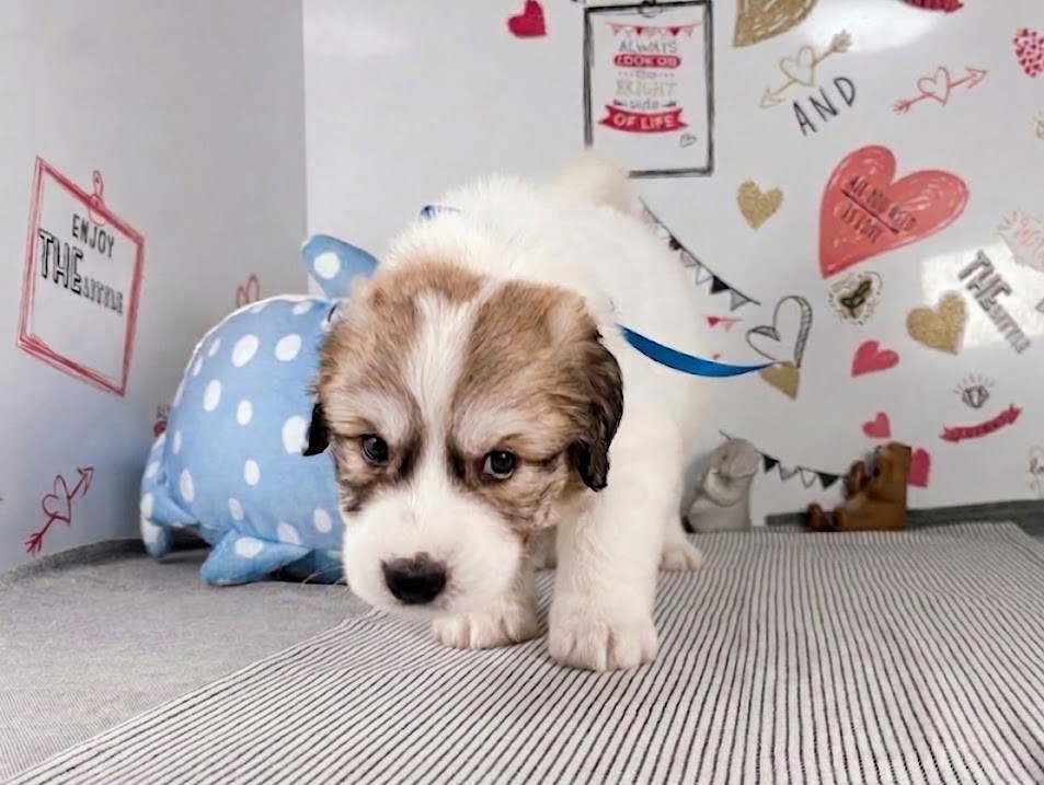 赤ちゃん写真3-1