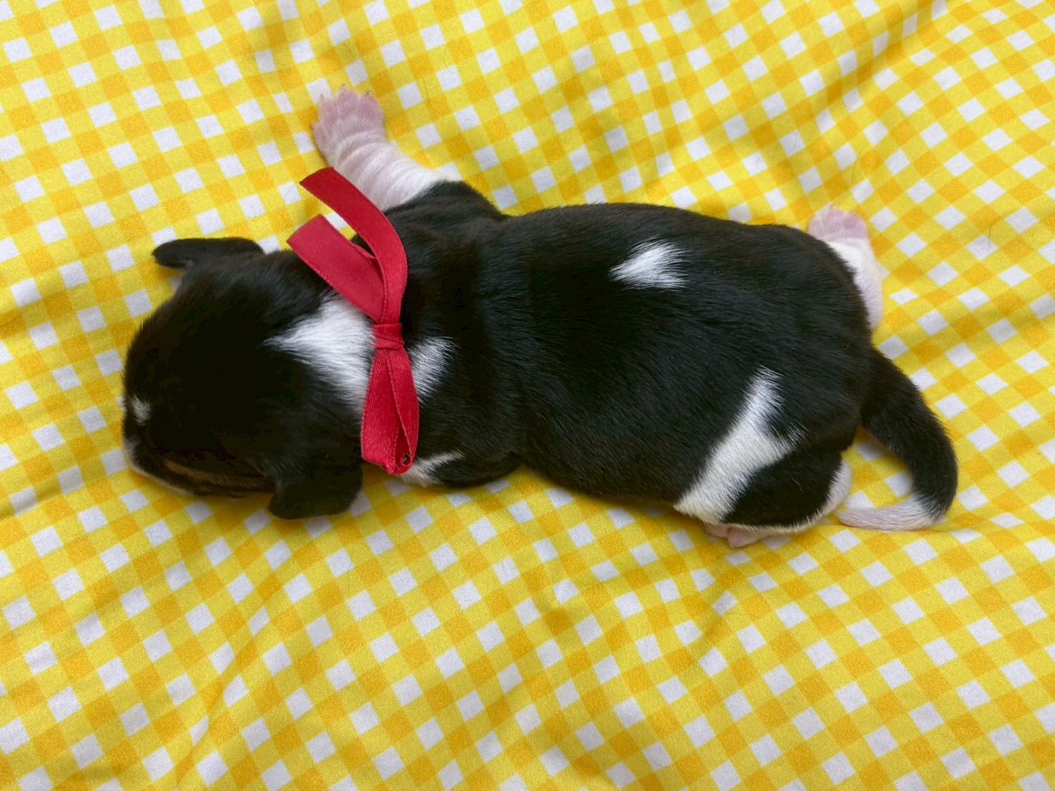 赤ちゃん写真1-3