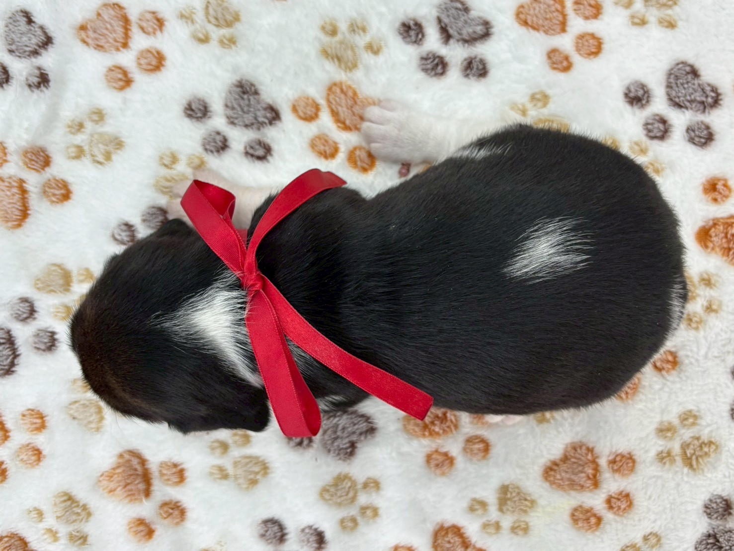 赤ちゃん写真2-3