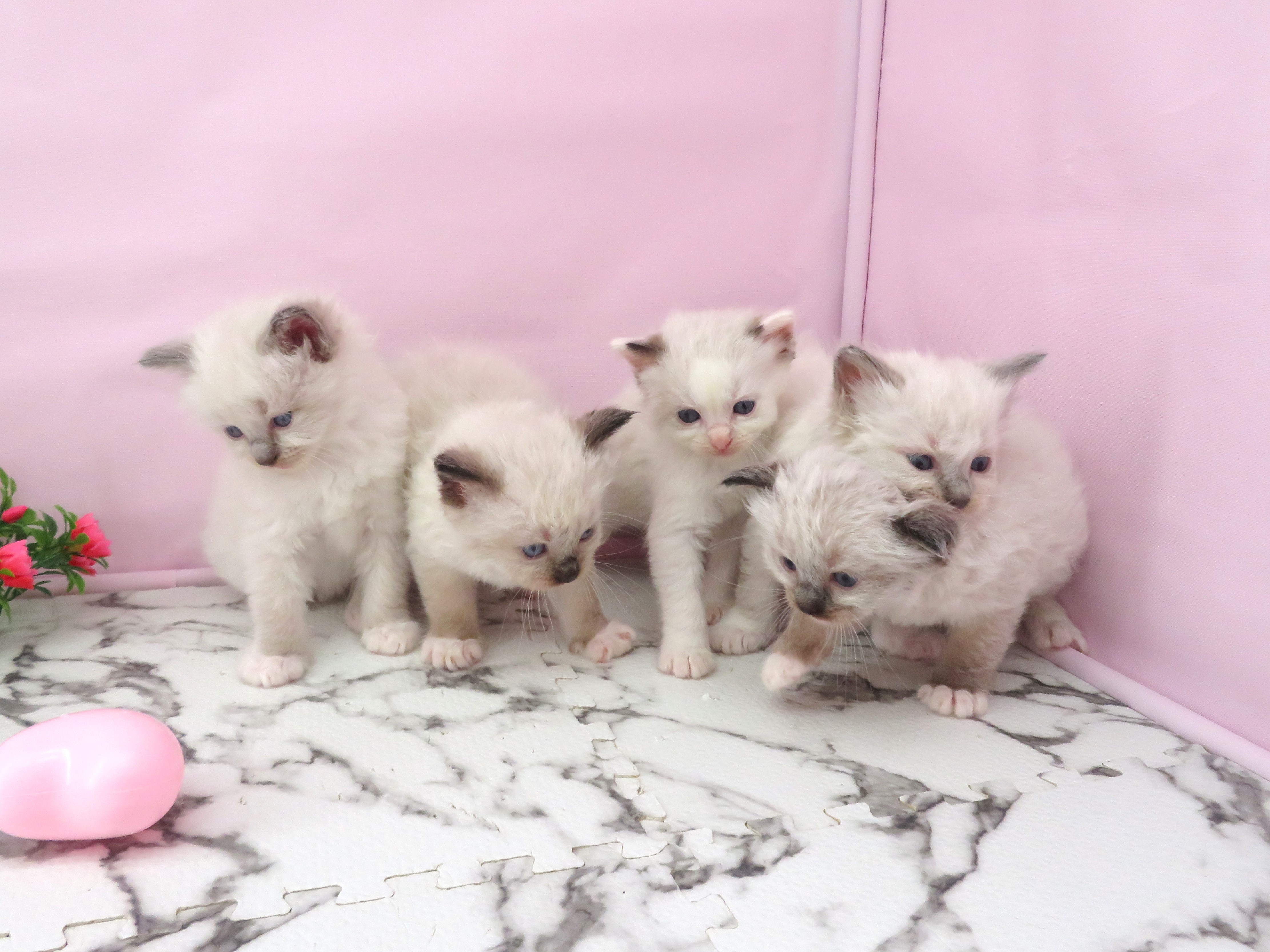 赤ちゃん写真2-3