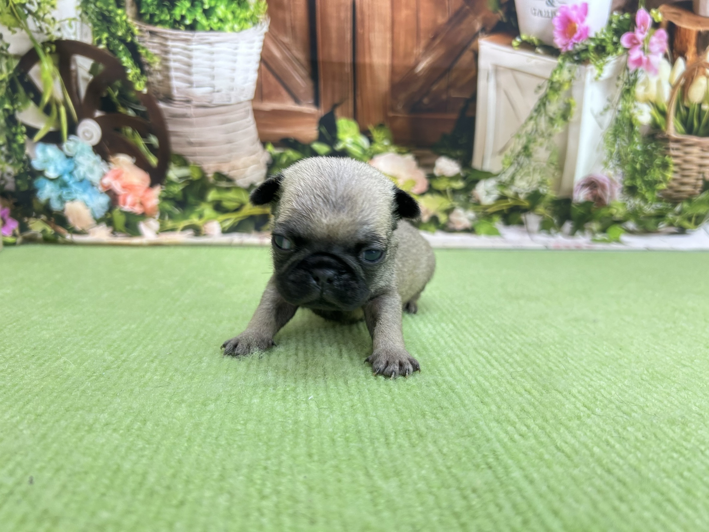 赤ちゃん写真1-1